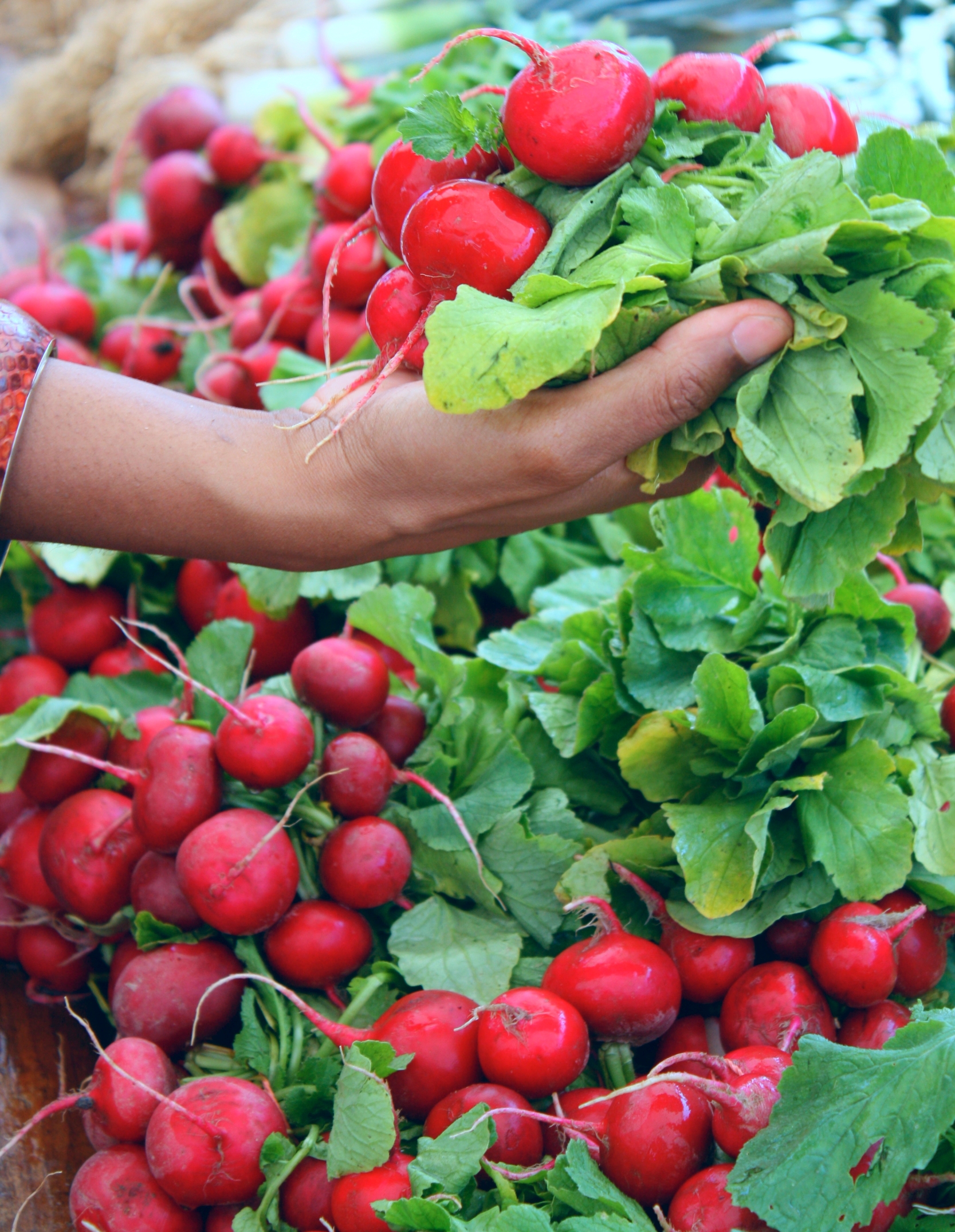 Personalized Instruction