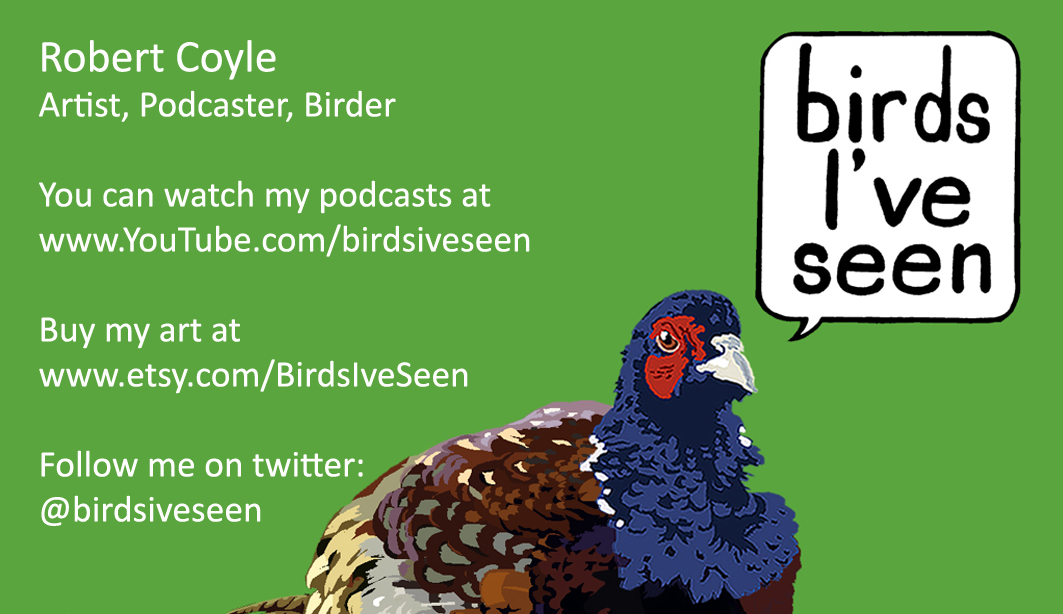 Birdsiveseen business card.jpg