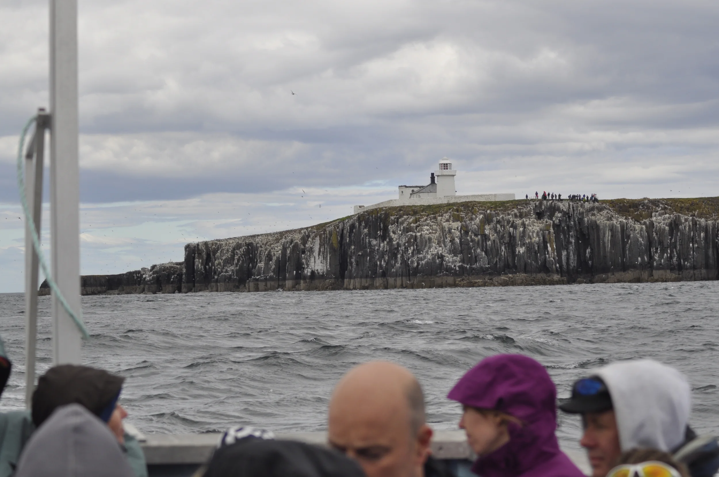 _DSC0674.JPG