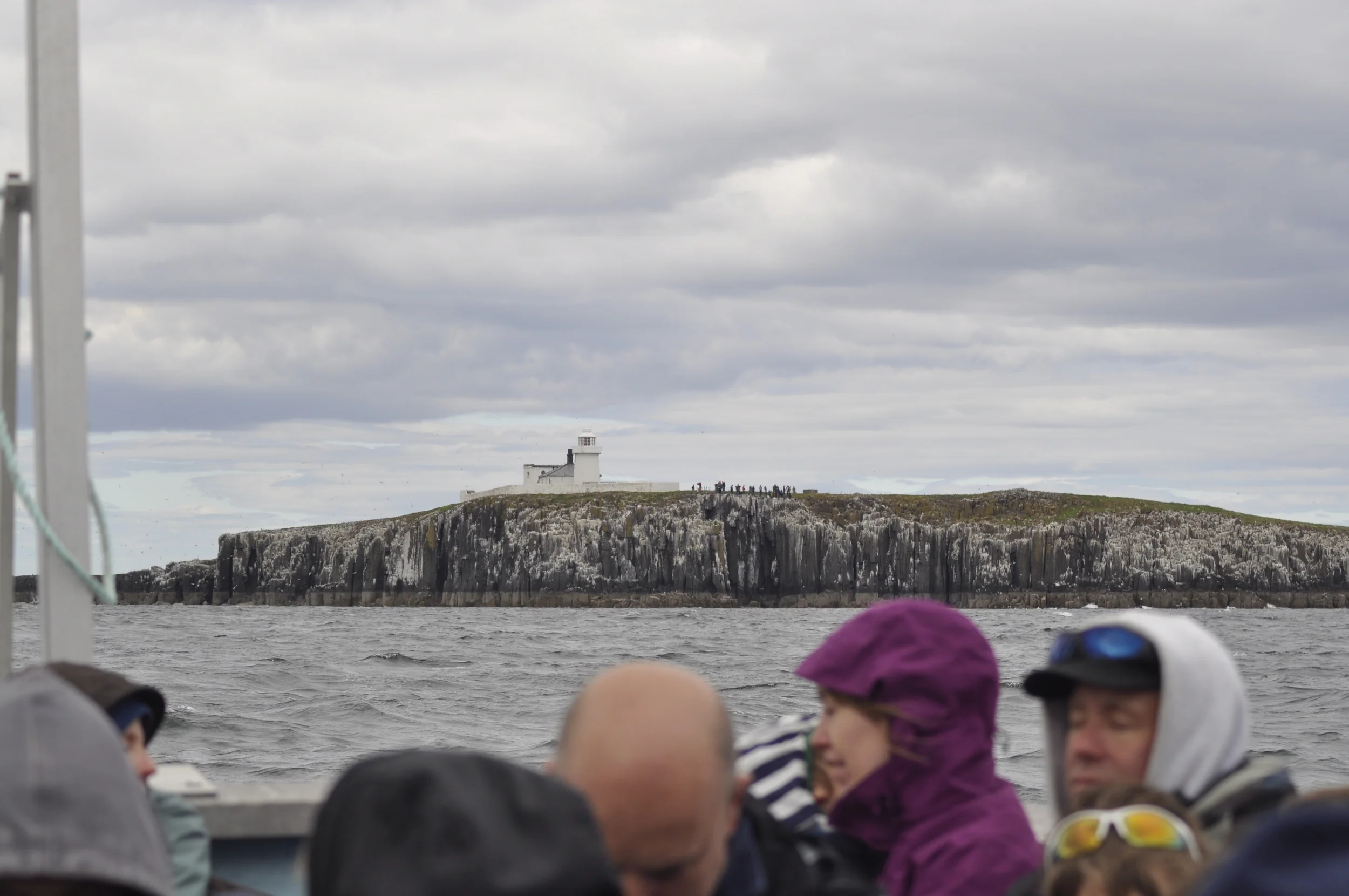 _DSC0676.JPG