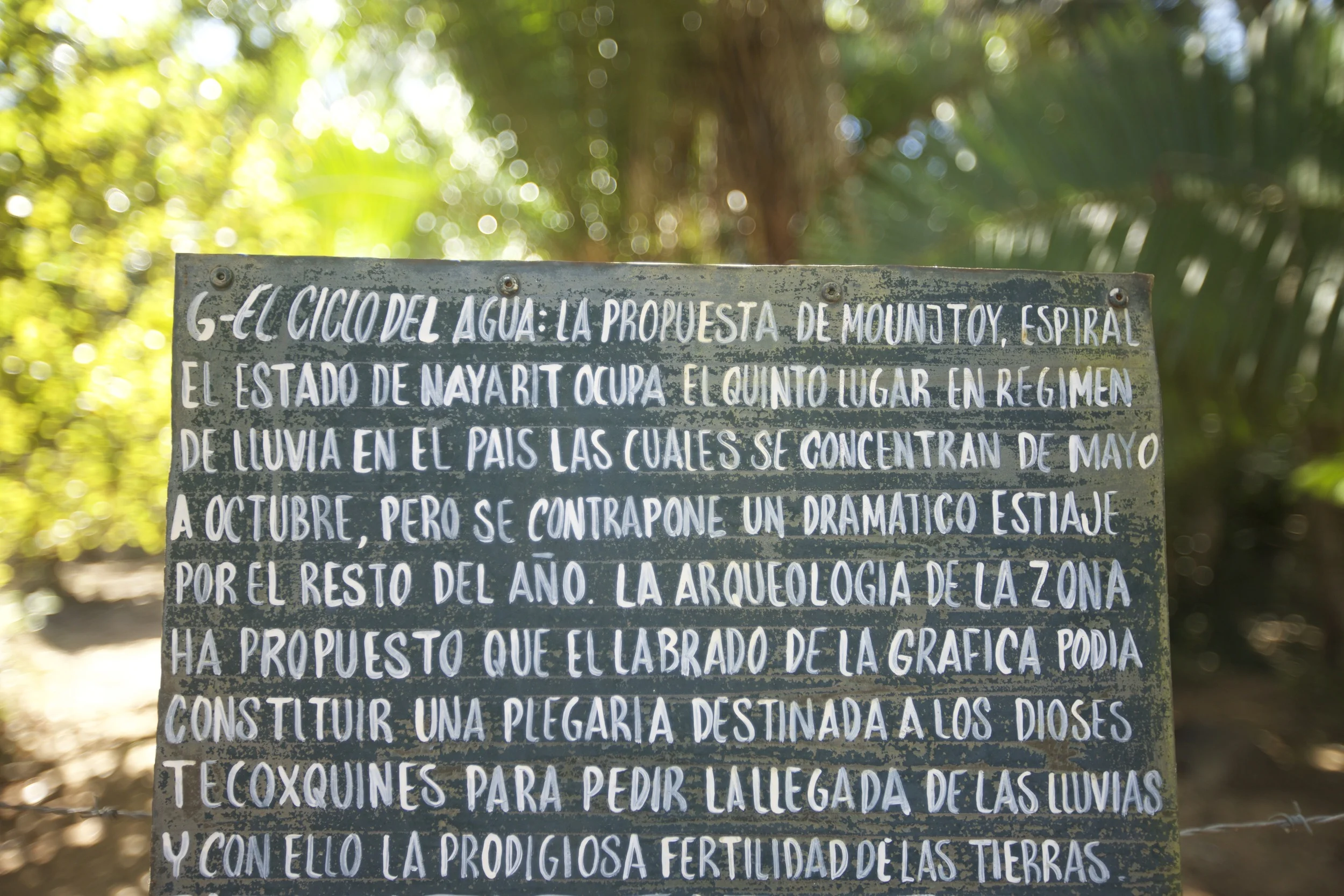 Alta Vista