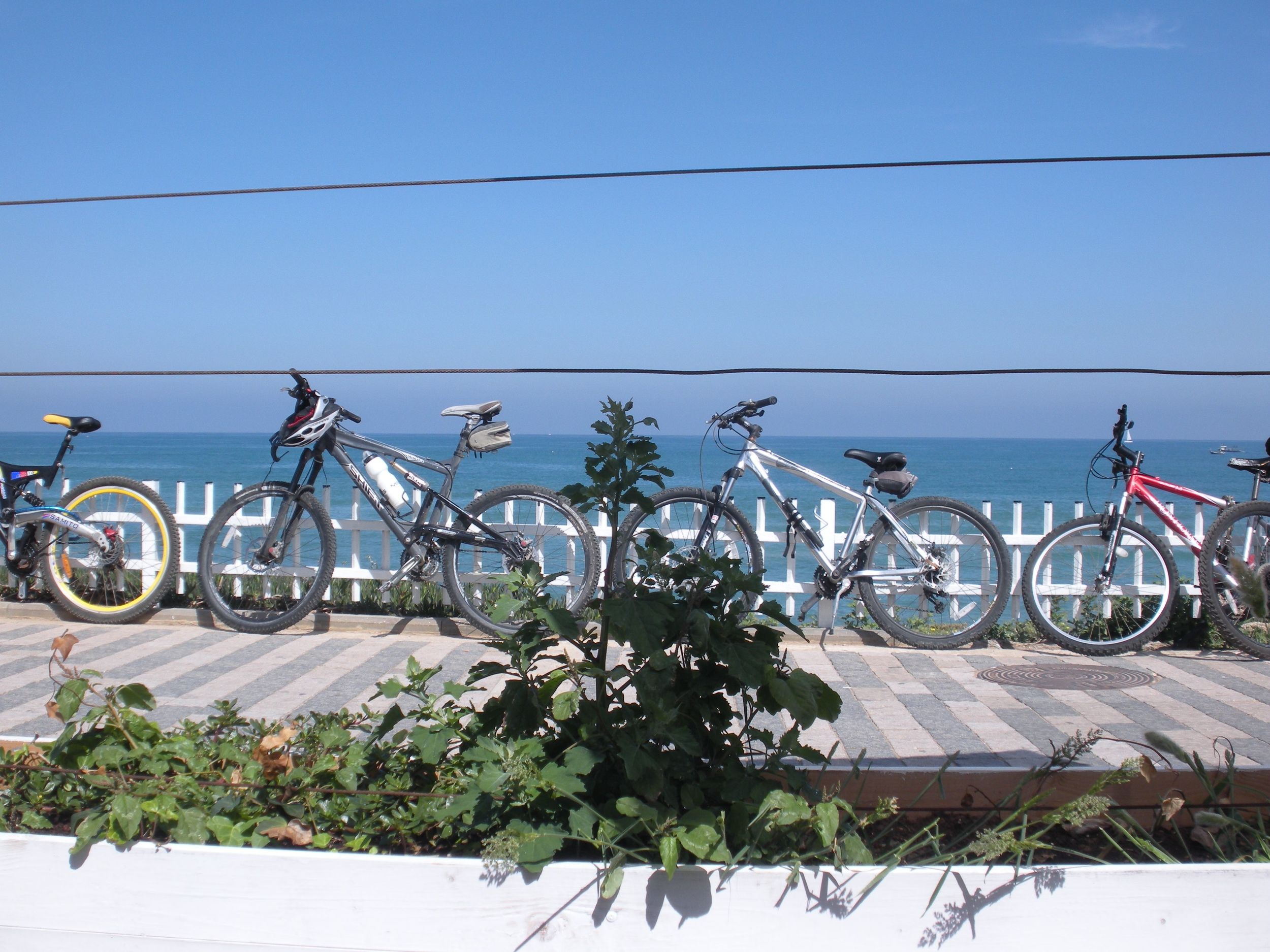 Copy of bikes on the promenade tel aviv.jpg