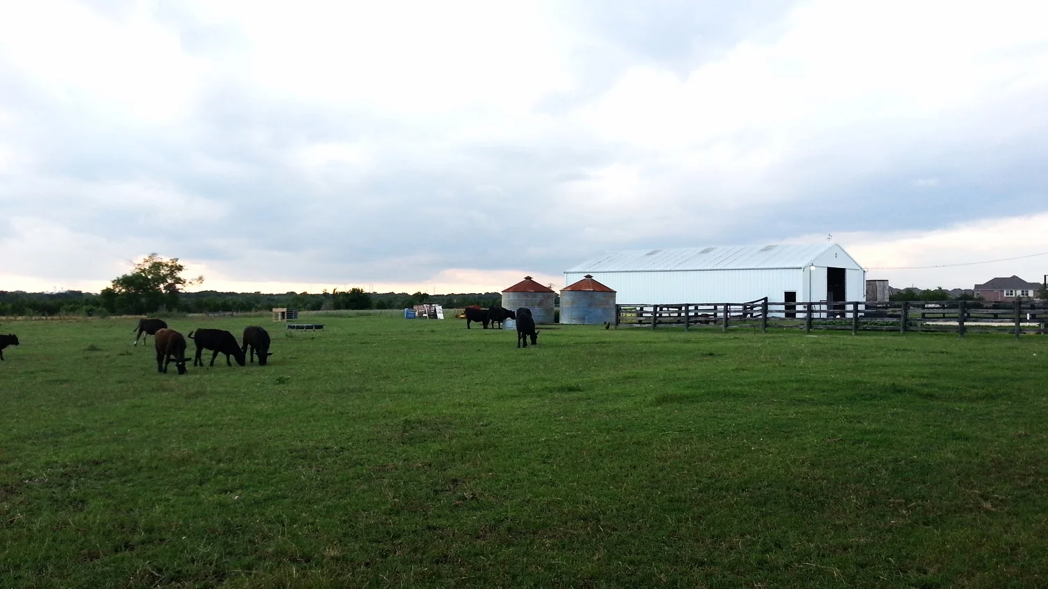 20130606_193204.jpg
