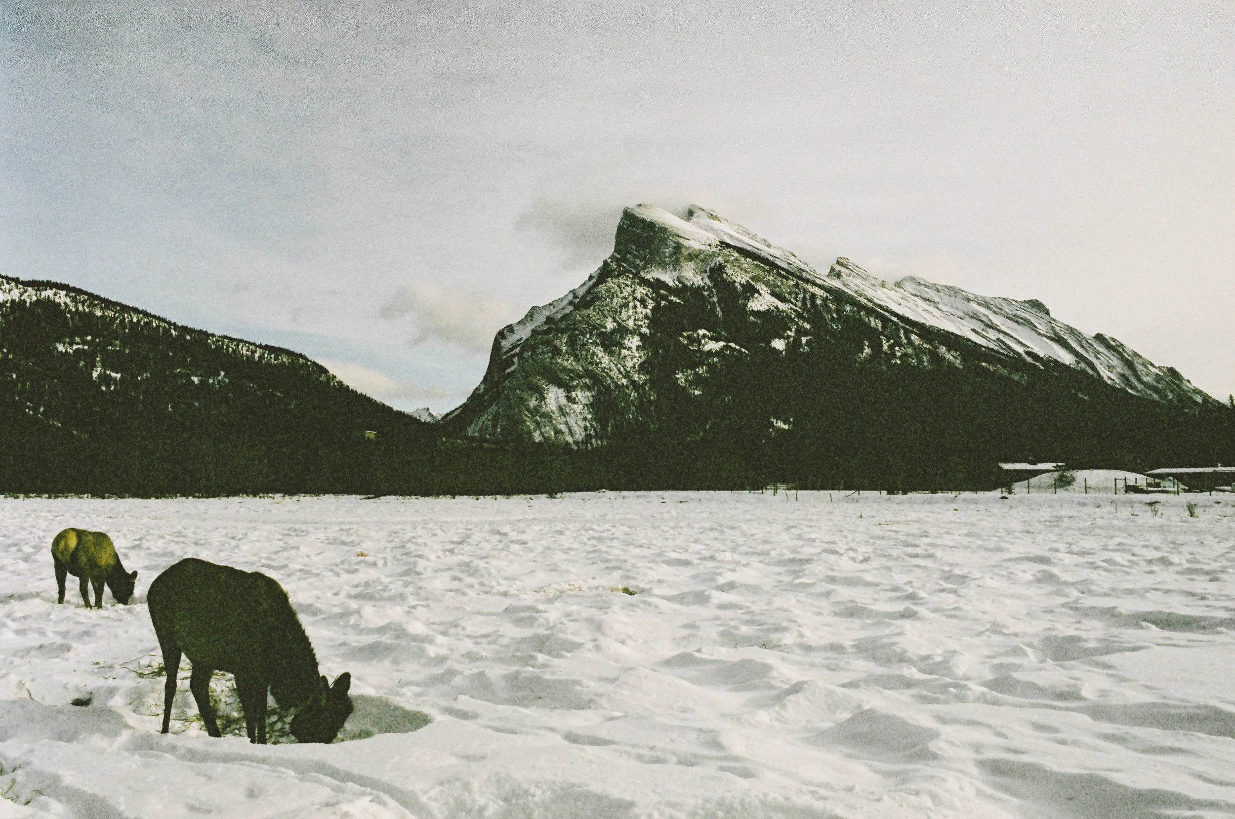 0018_7A.jpg