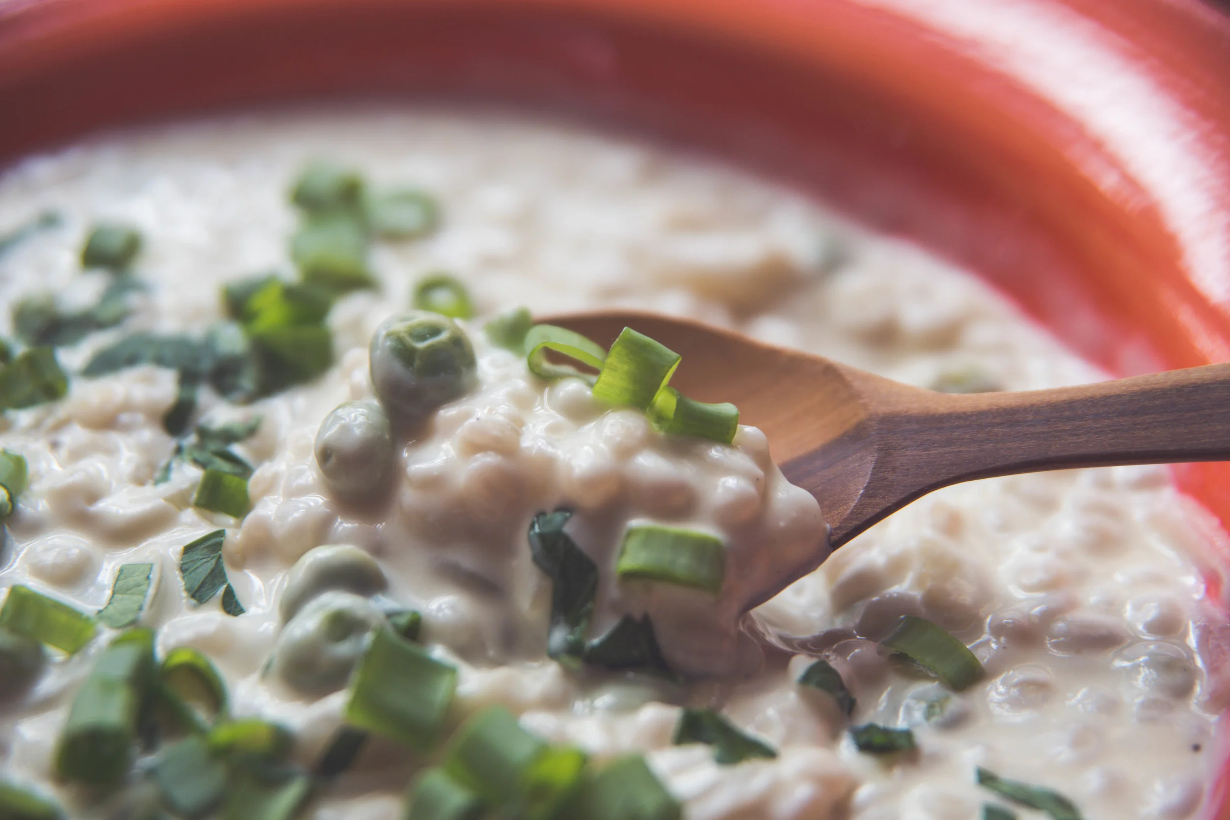 Sopa de yogurt y cebada perlada