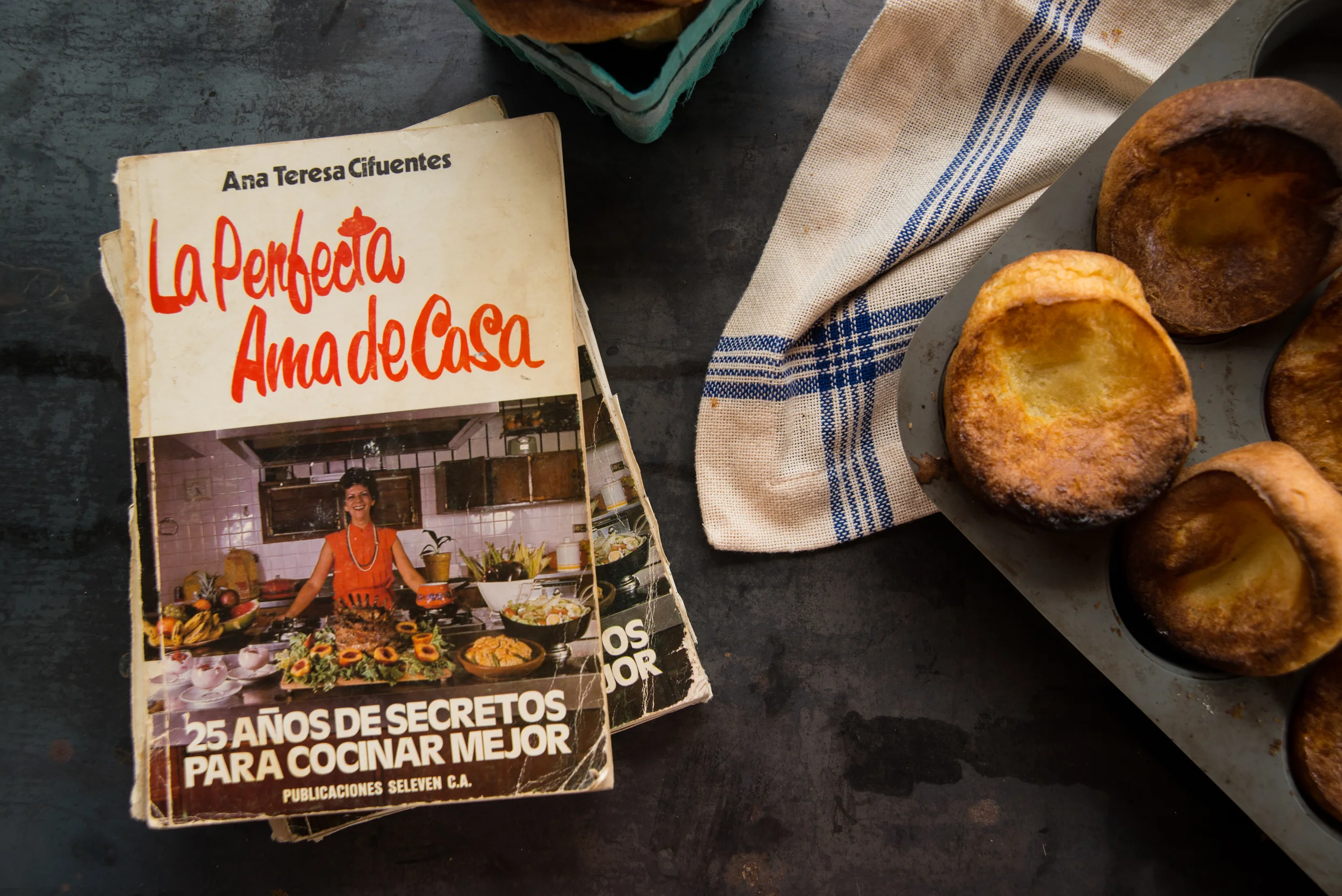 La Perfecta Ama de Casa