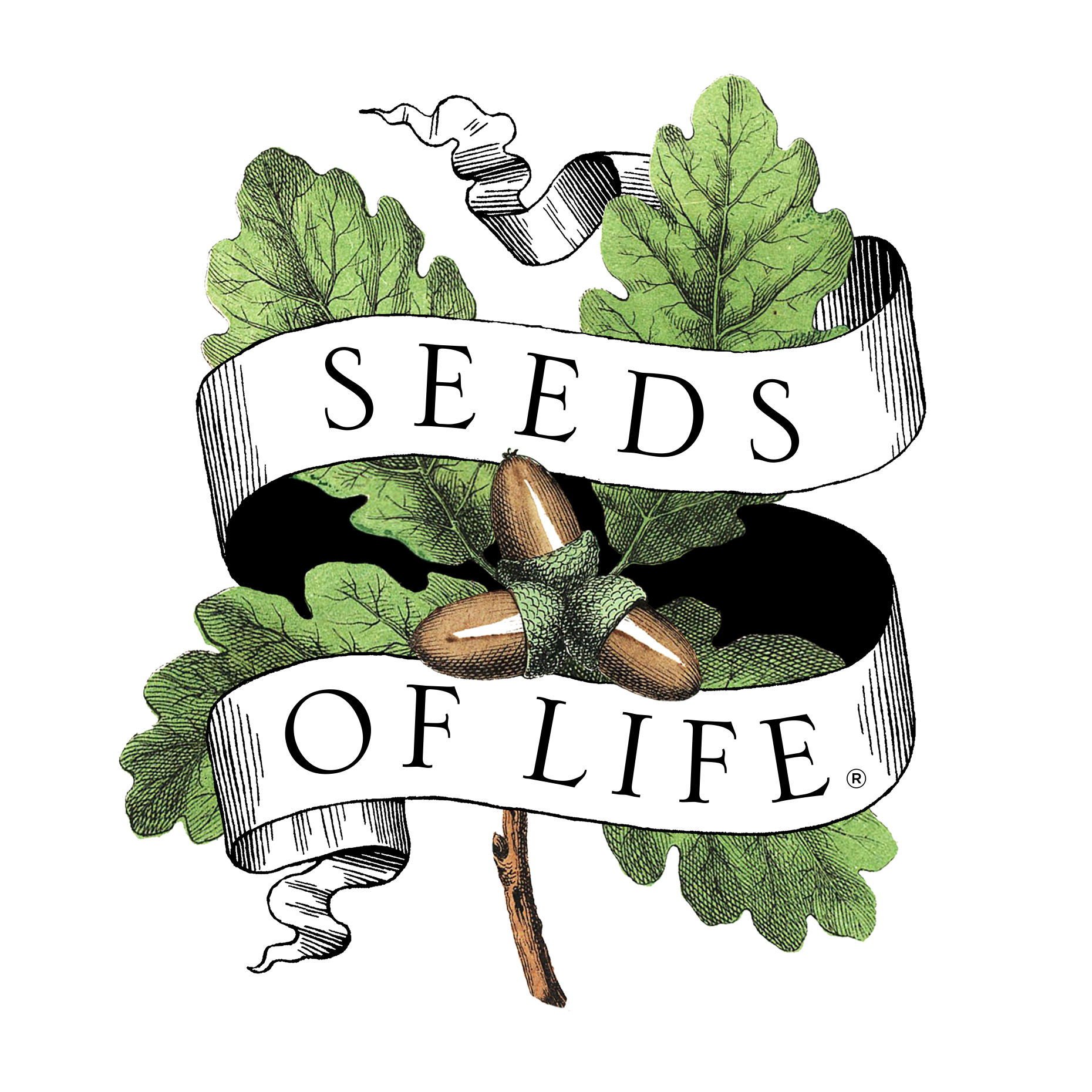 Seeds-of-Life_Digital_Logo_Primary_03-L.png