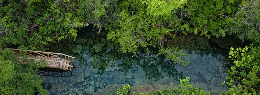 238_3874retouch-crop-u82891.jpg