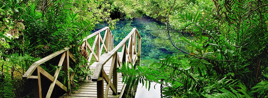 img_0127ecological-park2r-crop-u82895.jpg