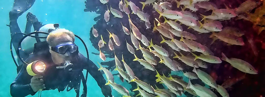 scuba 2b-crop-u70665.jpg