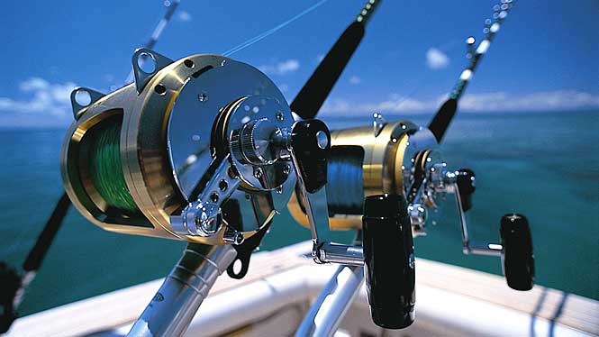 rods-reels.jpg