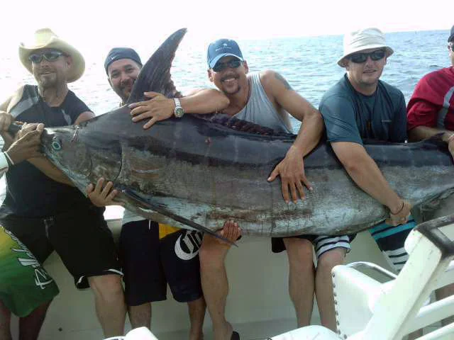 punta-cana-swordfish.jpg