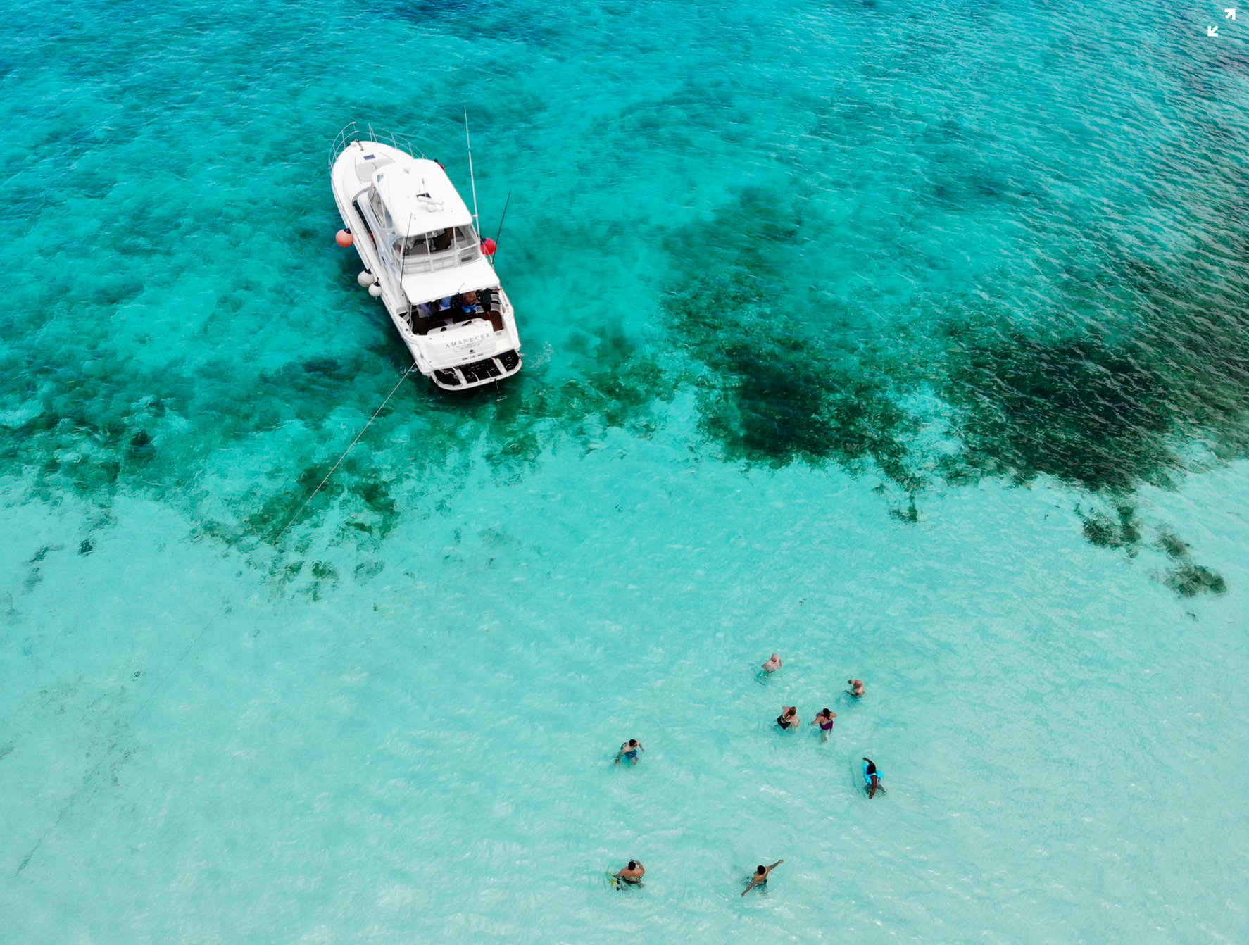 Screenshot 2020-01-24 15.35.40.png