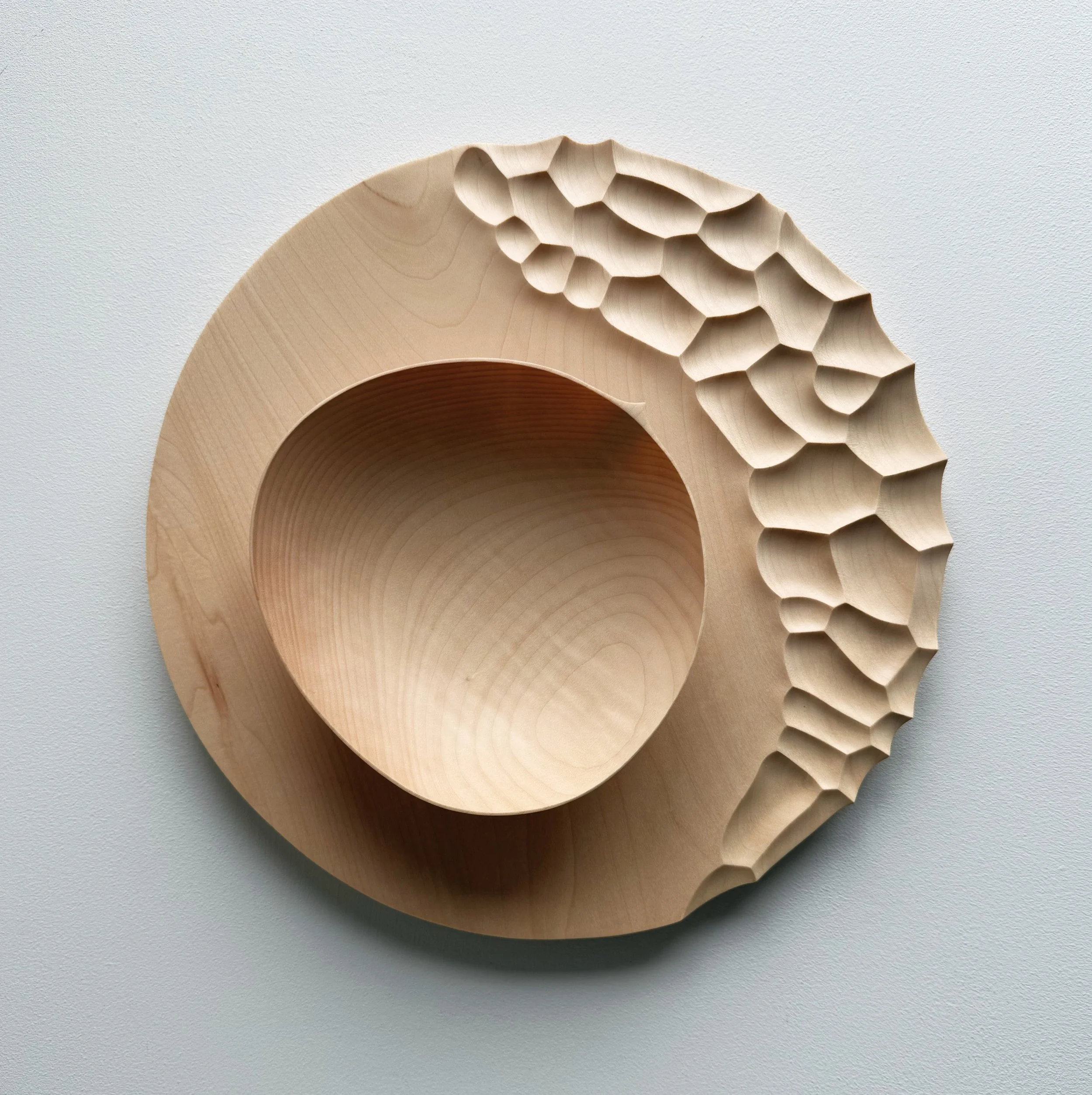 Large coast presentation set in sycamore