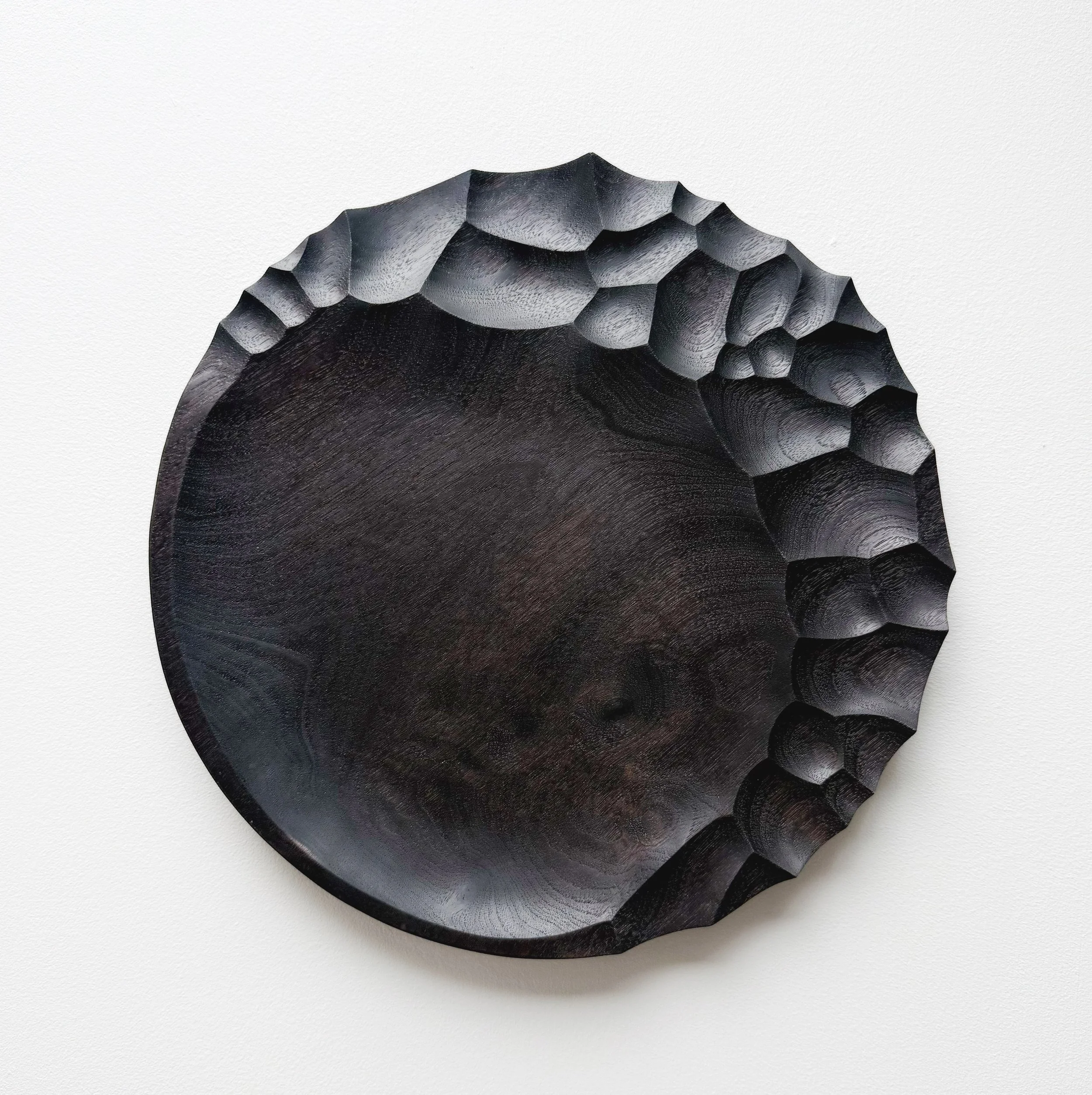 Evolution presentation plate in ebonised walnut