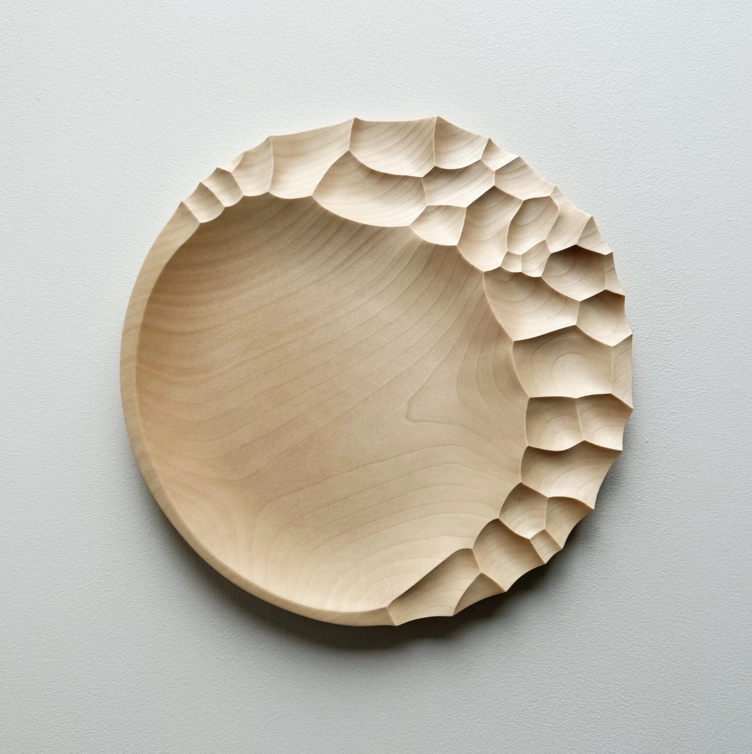 Evolution presentation plate in sycamore
