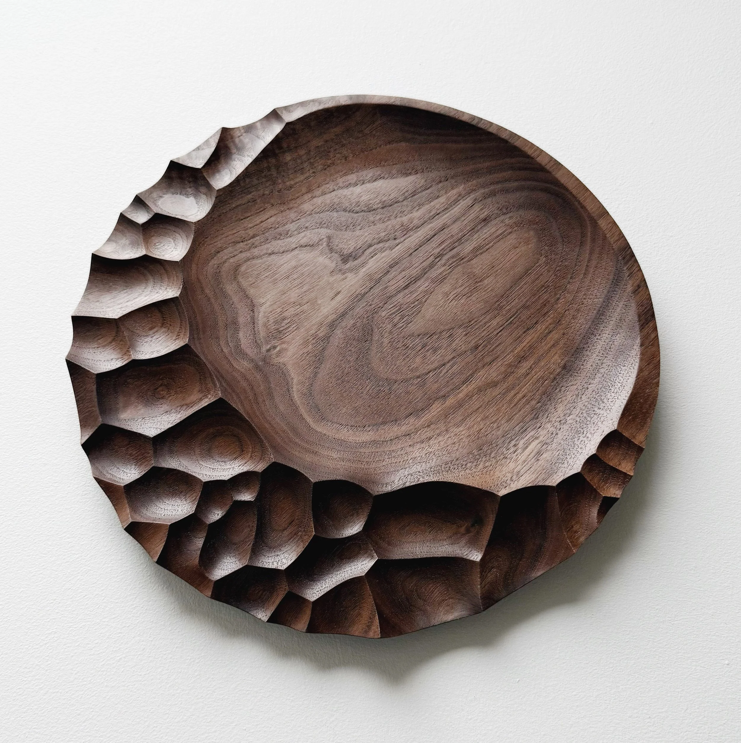 Evolution presentation plate in walnut
