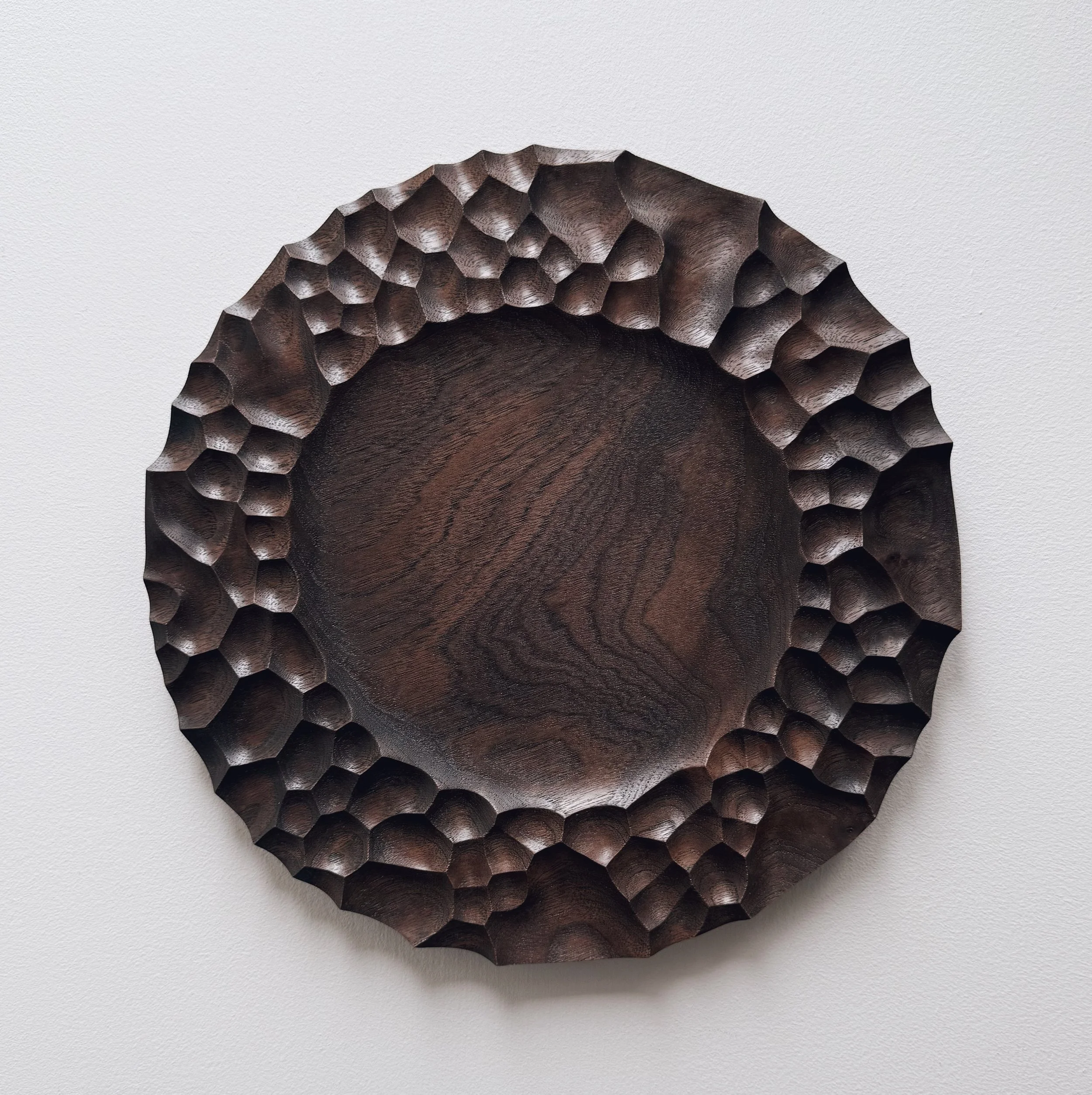 Biome presentation plate in black walnut