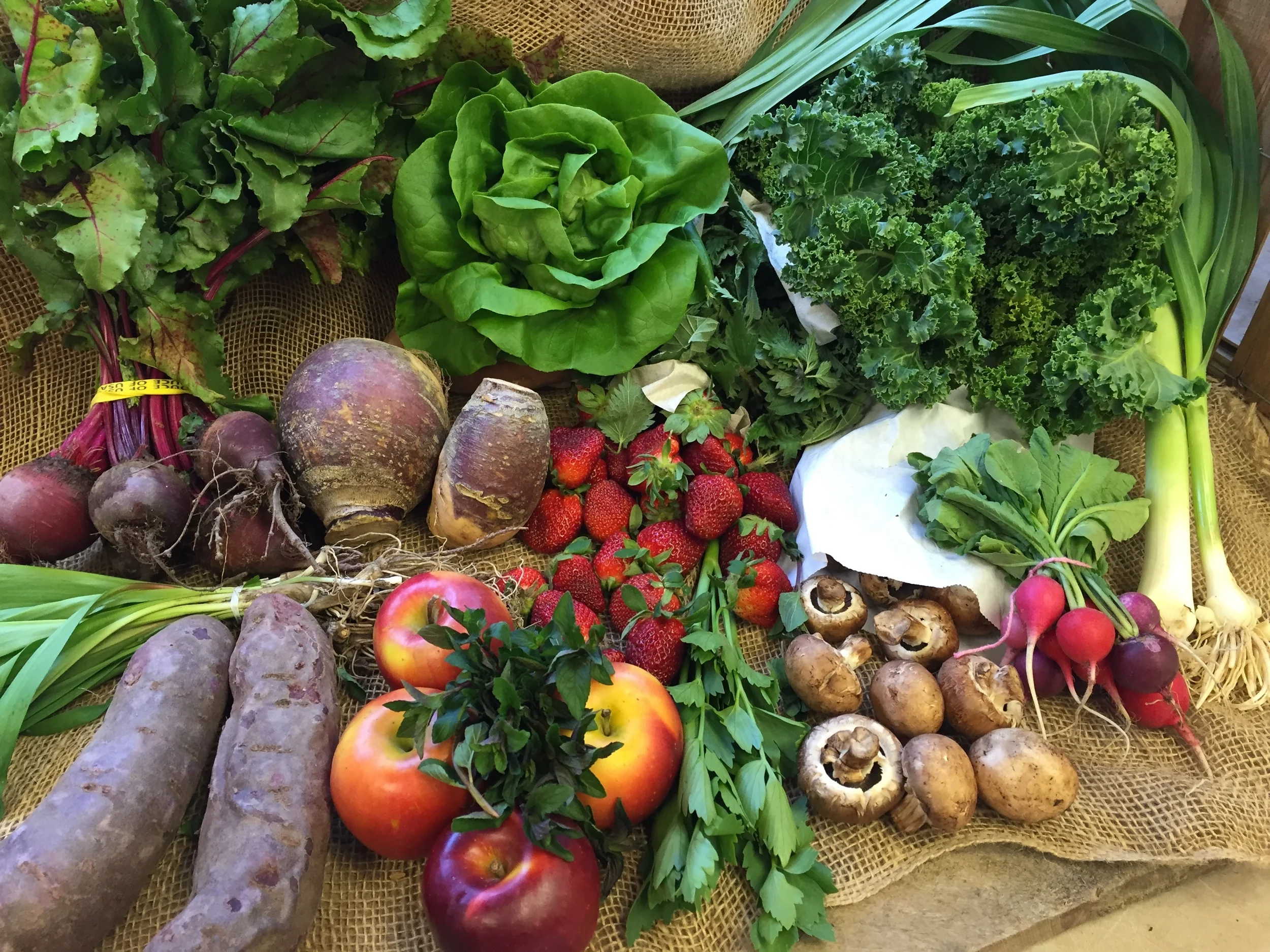 Clover sprouts, hydroponic lettuce, ramps, strawberries, stinging nettles, kale, rutabaga, radish, mixed herbs, green garlic, beets, purple sweet potato