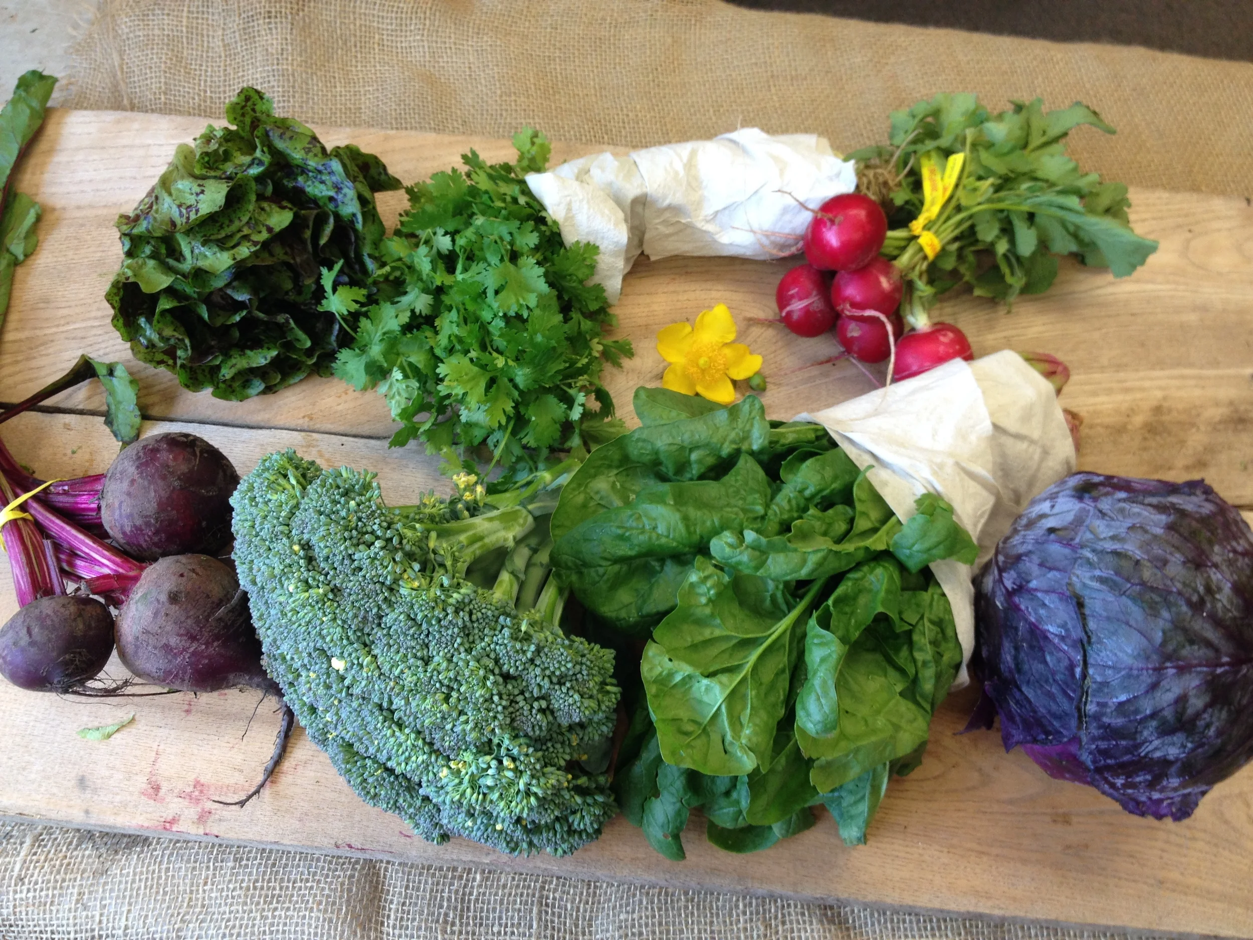 Southern Comfort small (in order from left to right) Lettuce, Herbs, Radishes, beets, broccoli, spinach, red cabbage.