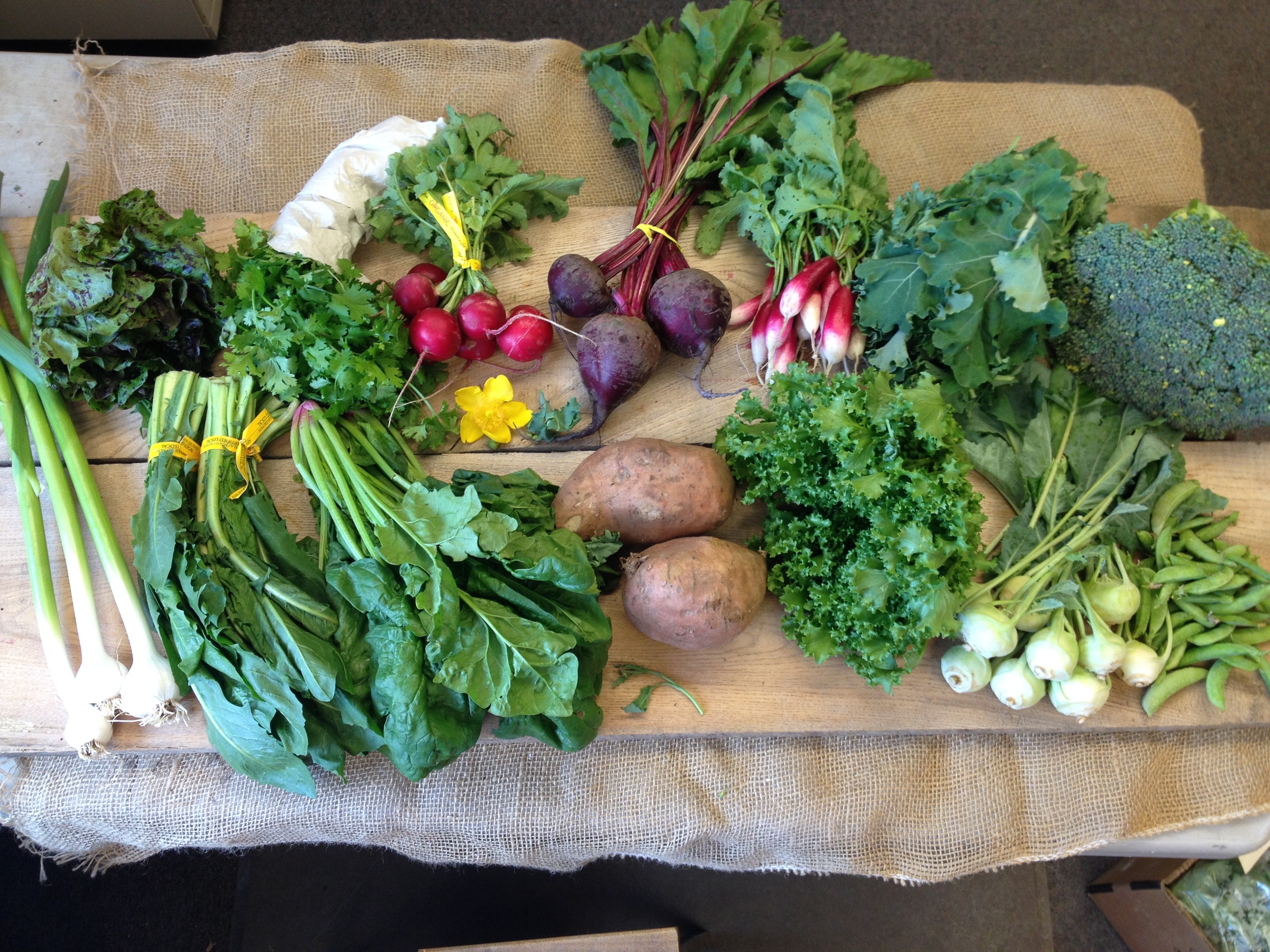 Spice of Life family- Lettuce, herbs, red radishes, beets, french breakfast radishes, kale, broccoli, green garlic, dandelion greens, spinach, sweet potatoes, endive, grab bag item (Kohlrabi and peas shown. Collards also available)