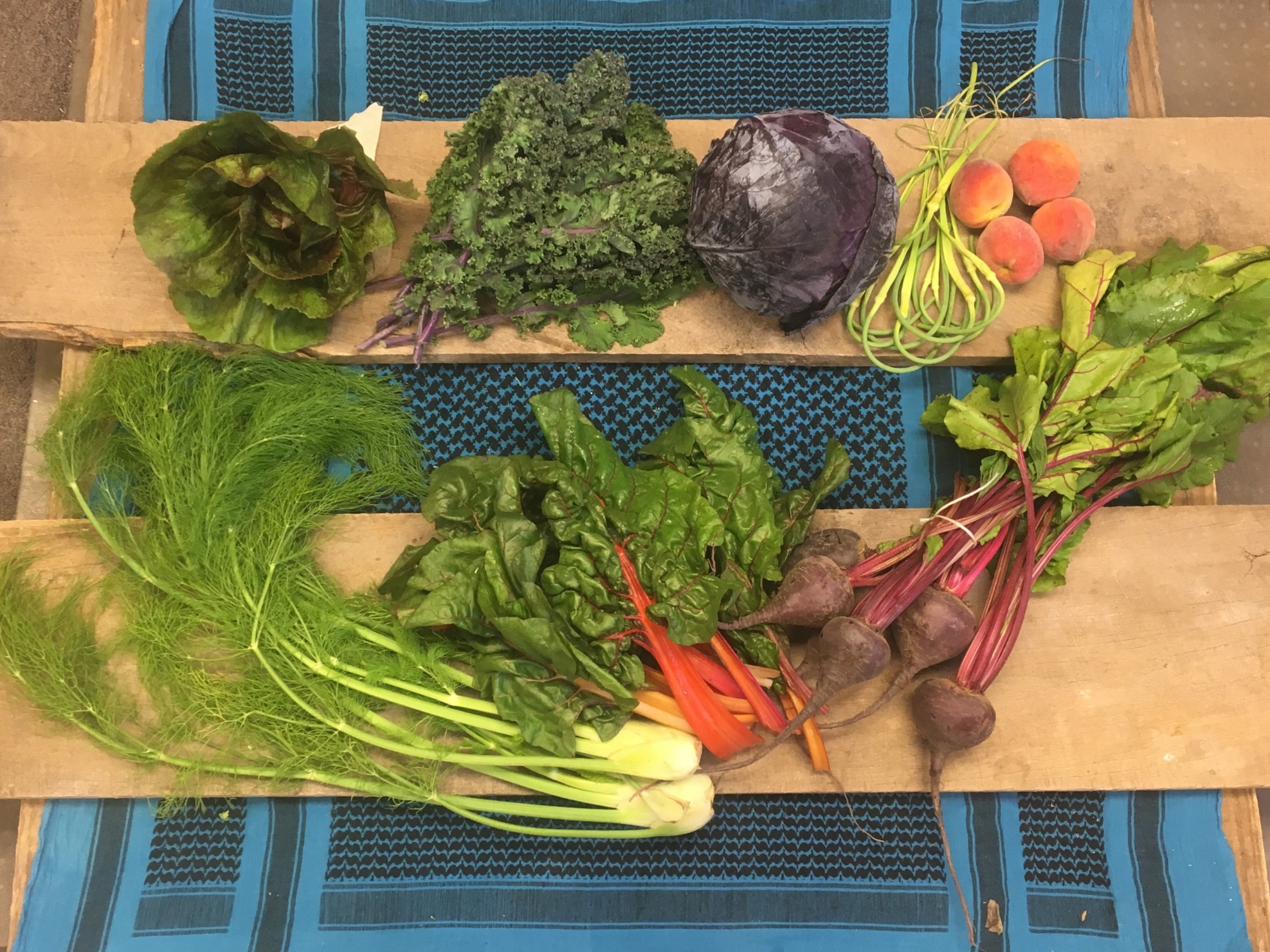 Spice of Life Small~ Lettuce, Kale, red cabbage, garlic scapes, peaches, fennel, swiss chard, beets.