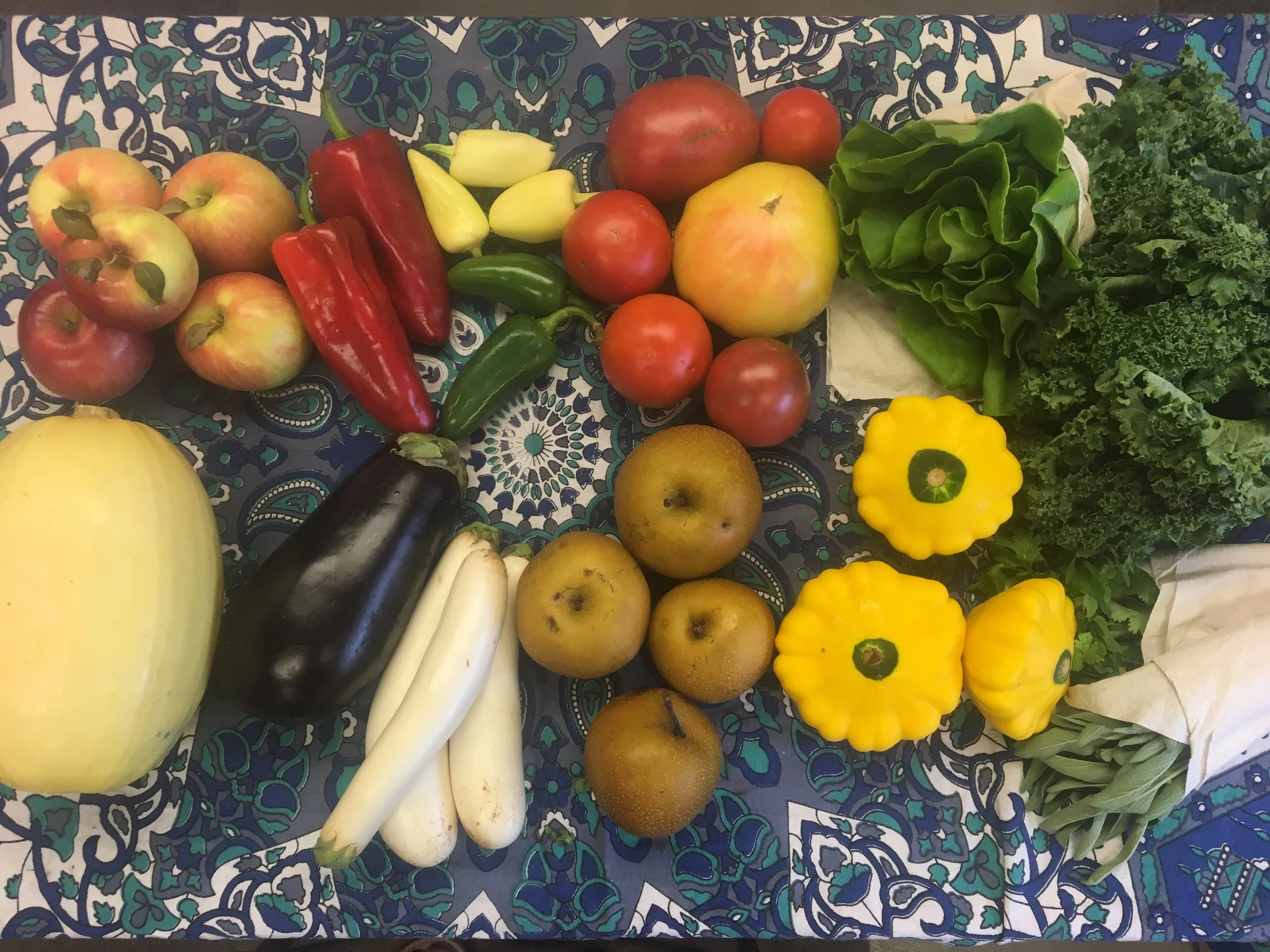 Spice Of Life: Family