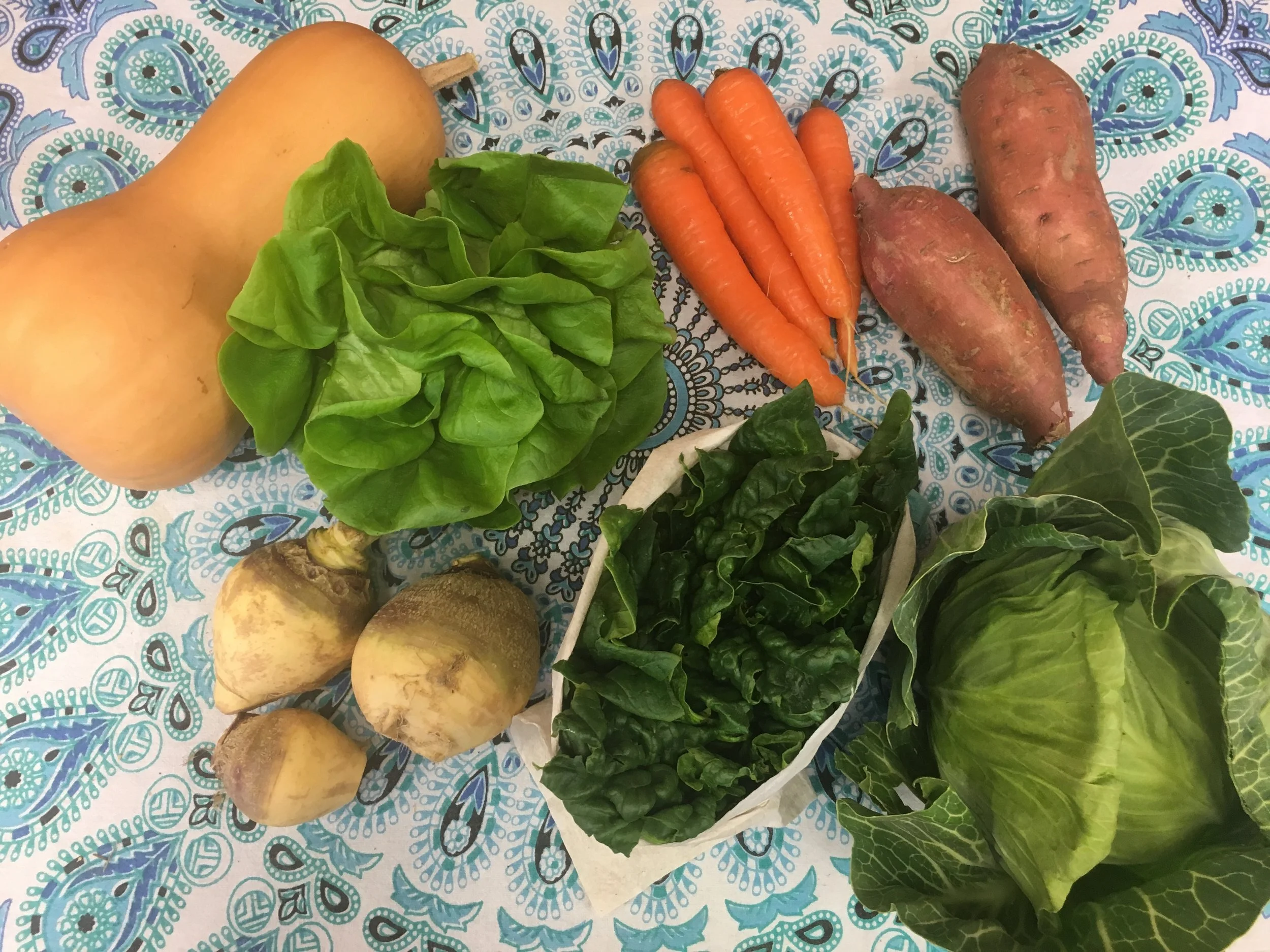 Southern Comfort small- butternut squash, Bibb lettuce, carrots, garnet sweet potatoes, rutabaga, spinach, and green cabbage.