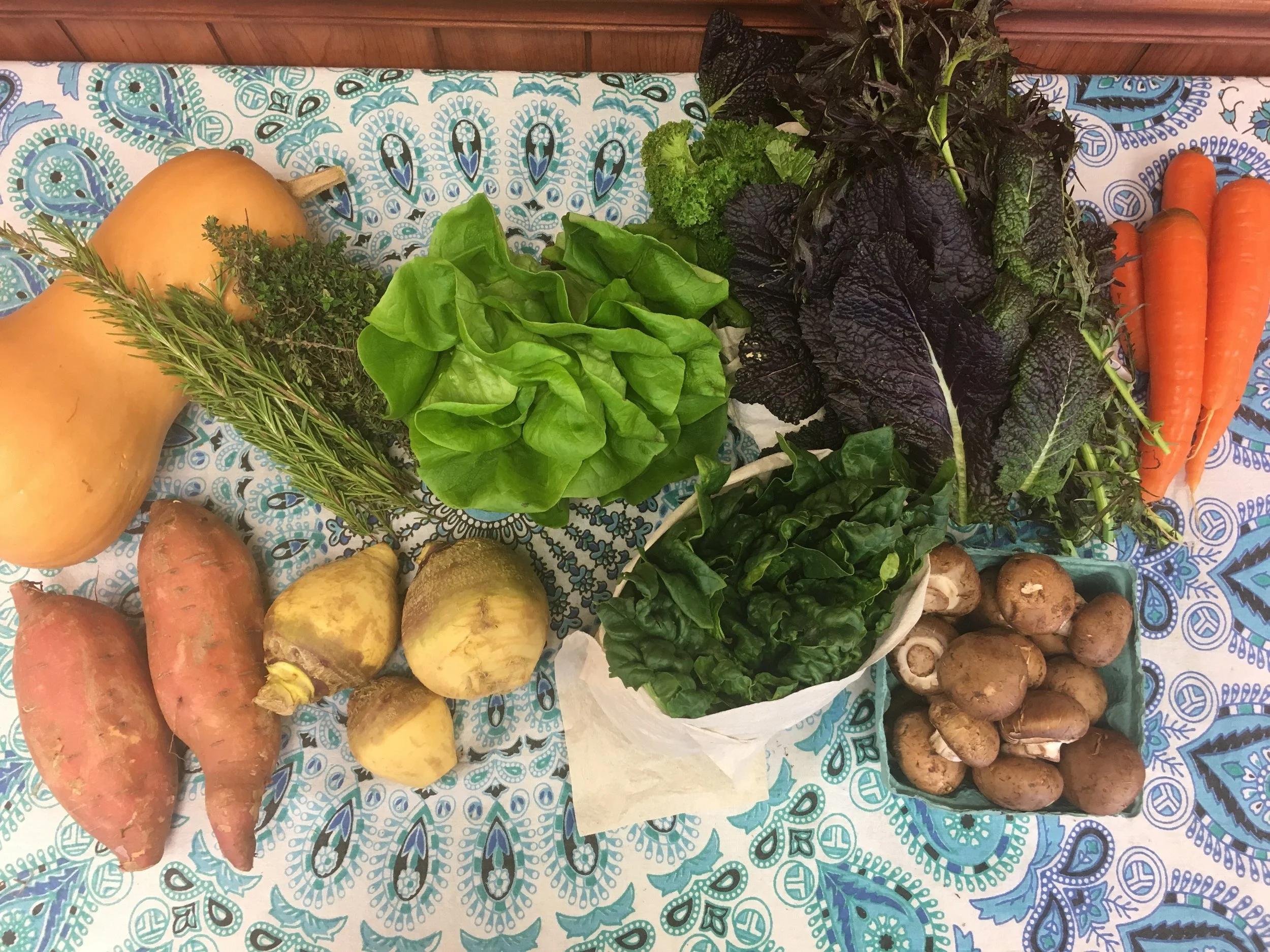 Spice of Life small- butternut squash, herbs, Bibb lettuce, mixed mustard greens, carrots, garnet sweet potatoes, rutabaga, spinach, and cremini mushrooms. 