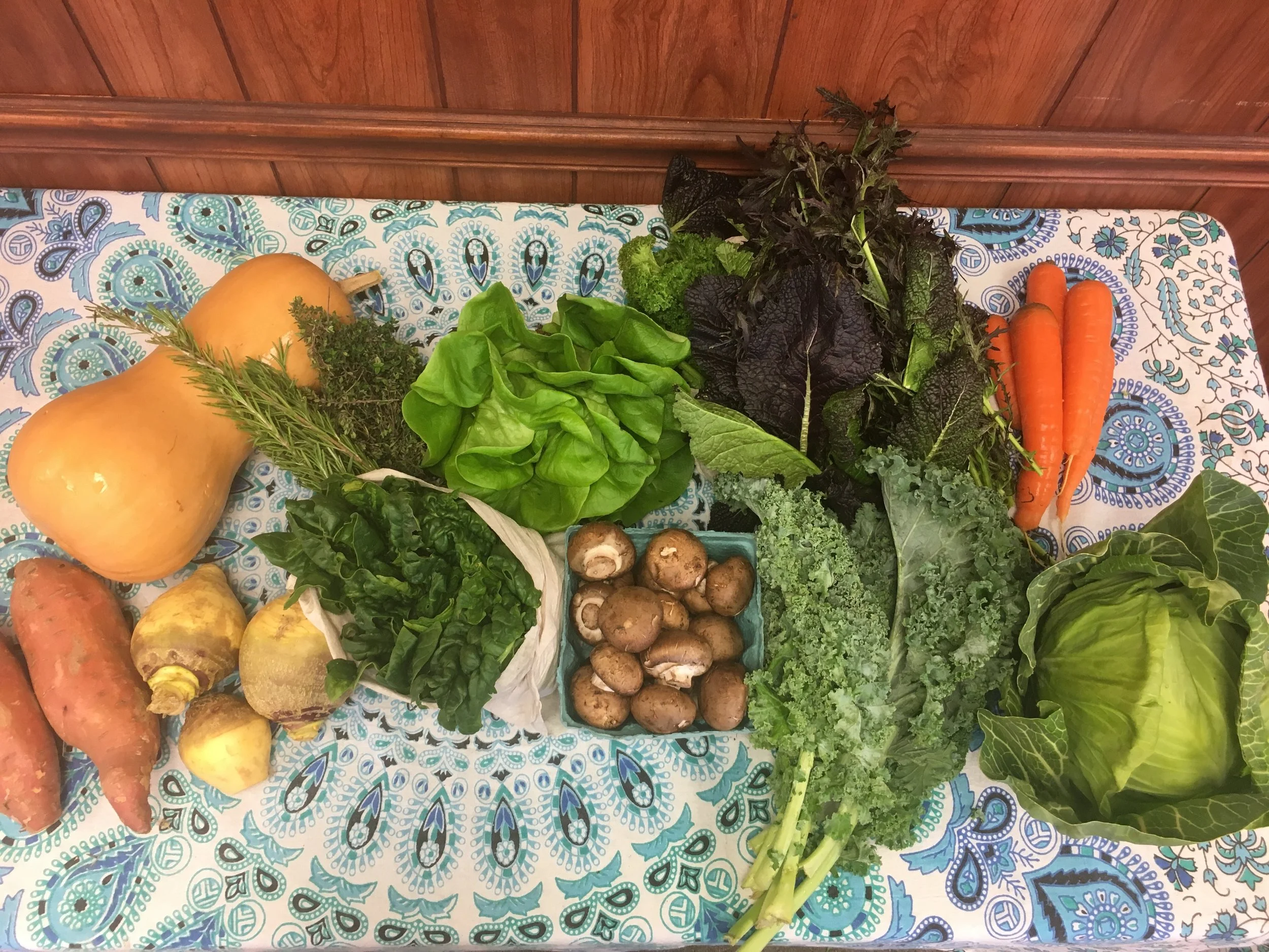 Spice of Life family- butternut squash, herbs, Bibb lettuce, mixed mustard greens, carrots, garnet sweet potatoes, rutabaga, spinach, cremini mushrooms, curly kale, green cabbage.