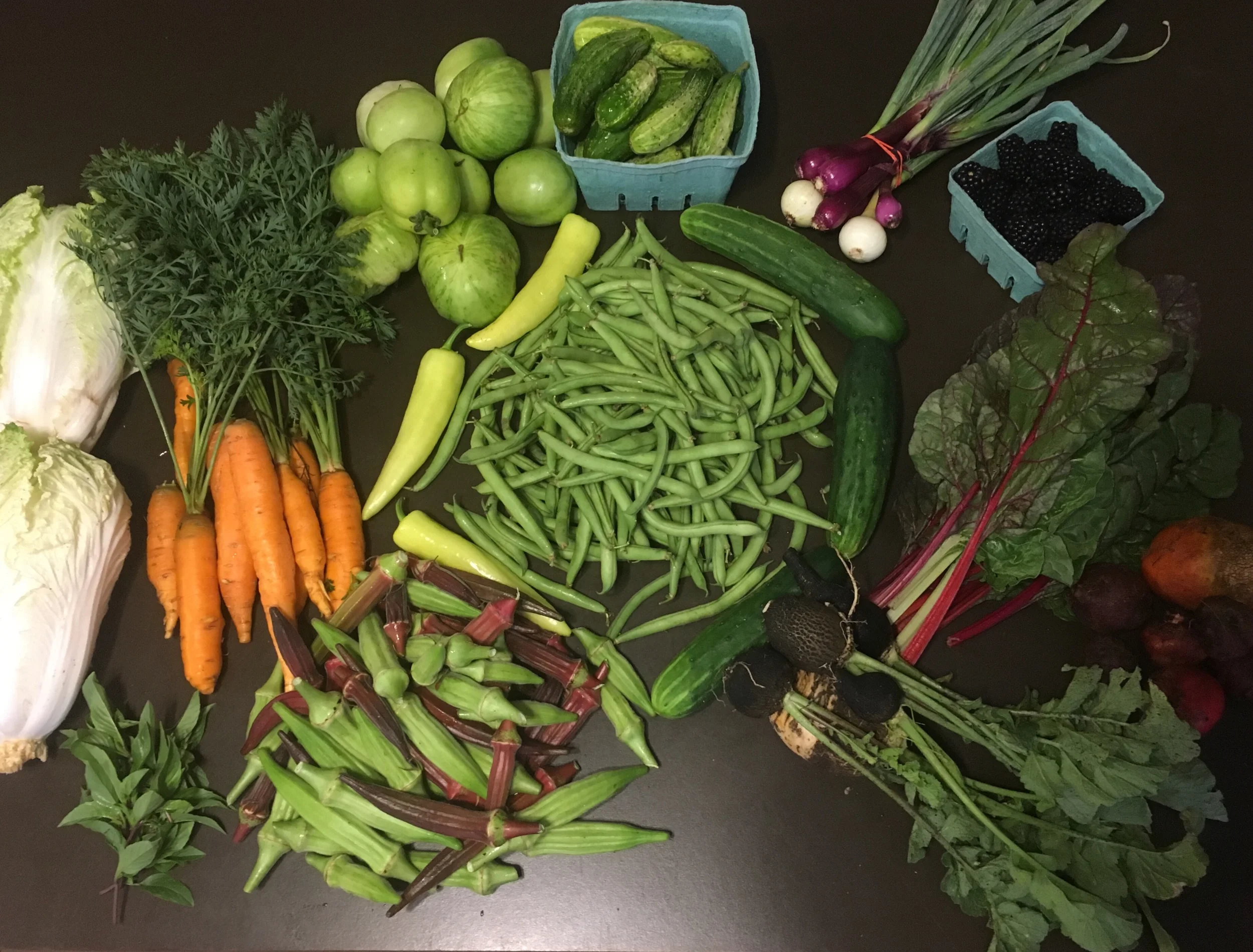 Napa cabbage, carrots, green tomatoes, pickling cucumbers, spring onions, blackberries, banana pEppers, green beans, slicing cucumbers, swiss chard, beets, lemon basil, okra, black radishes.