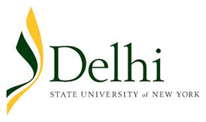 sunydelhi.jpg