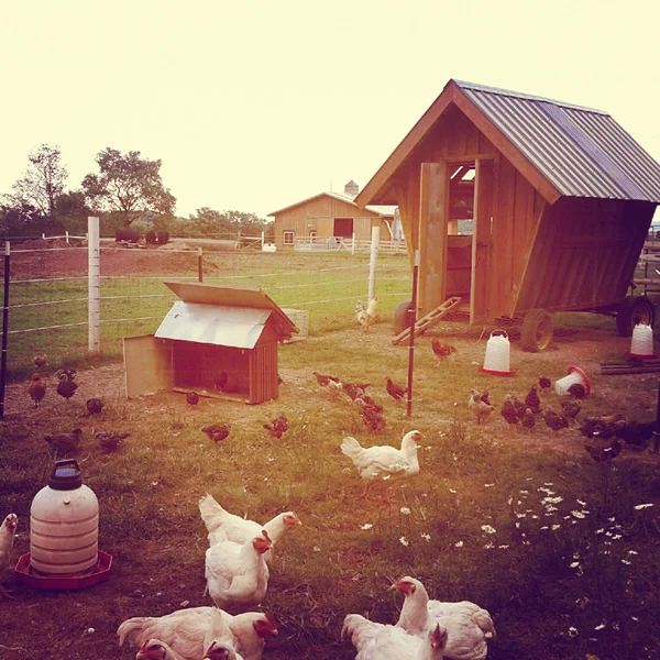 Greenane Farms &amp; Market