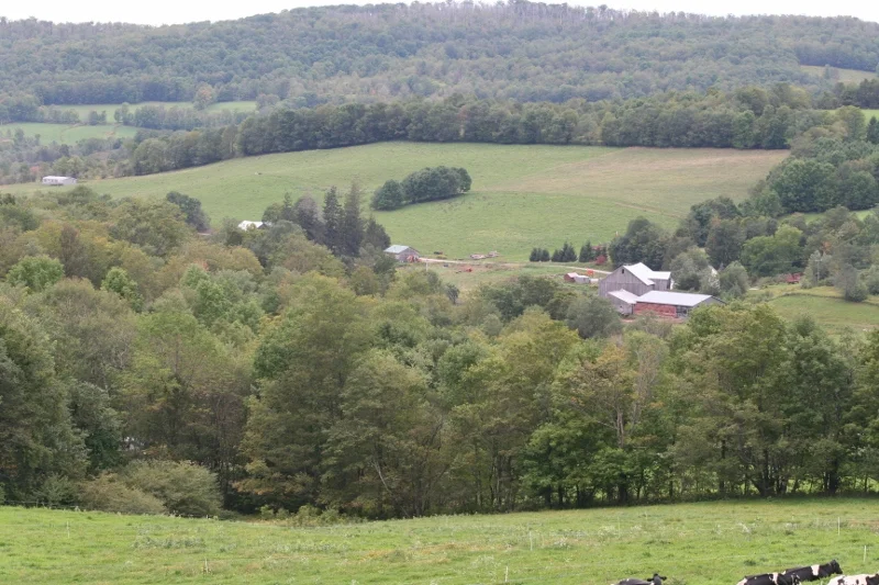 The Green Shepherd Farm Camping