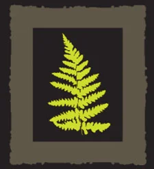 Rachel's Framing &amp; Fine Art