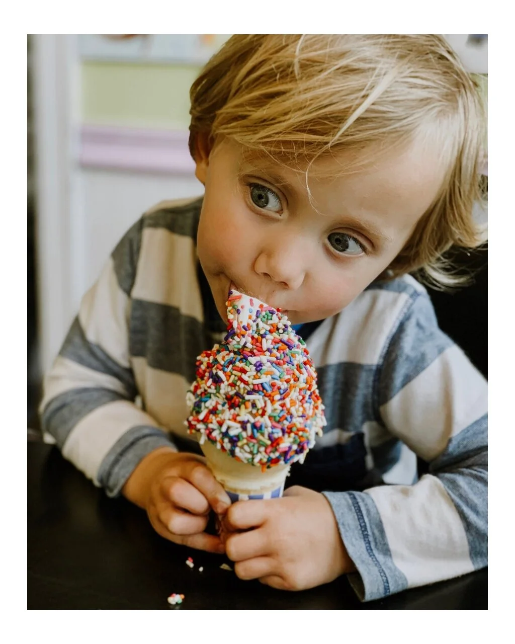 The Ice Cream Shop
