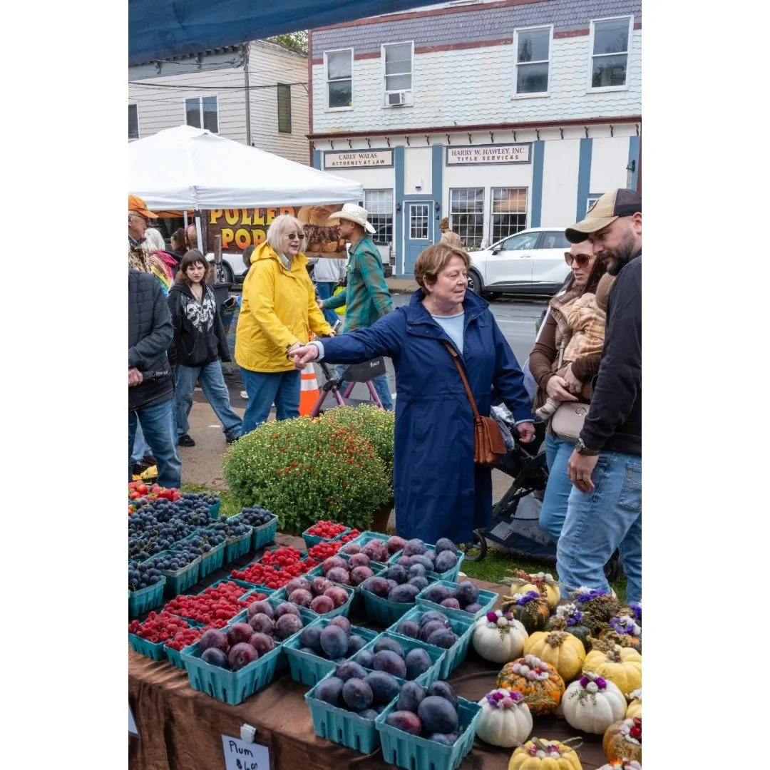 Harvest Fest 2026_Peter Neibanck (6).jpeg
