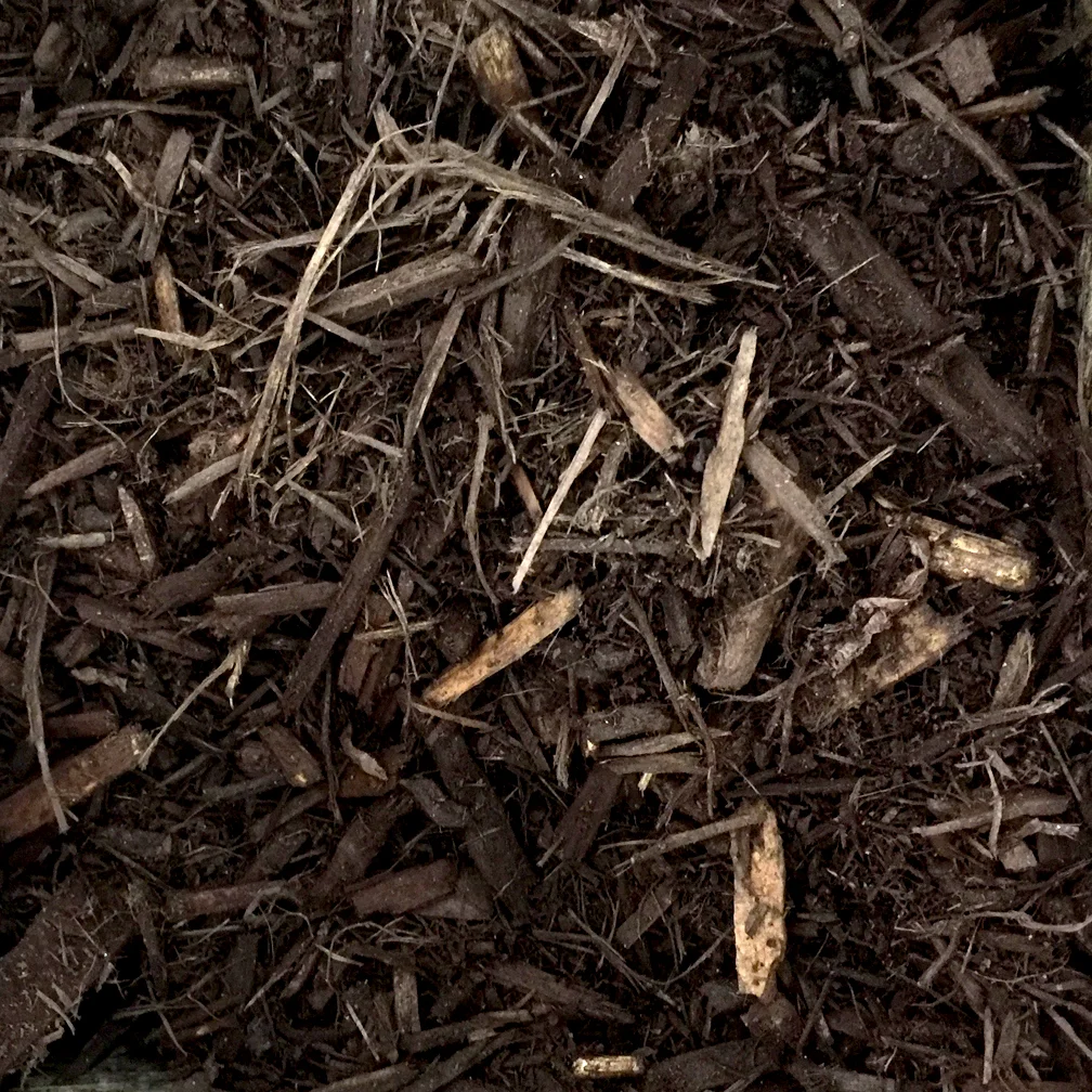 Appalachian-Brown.jpg