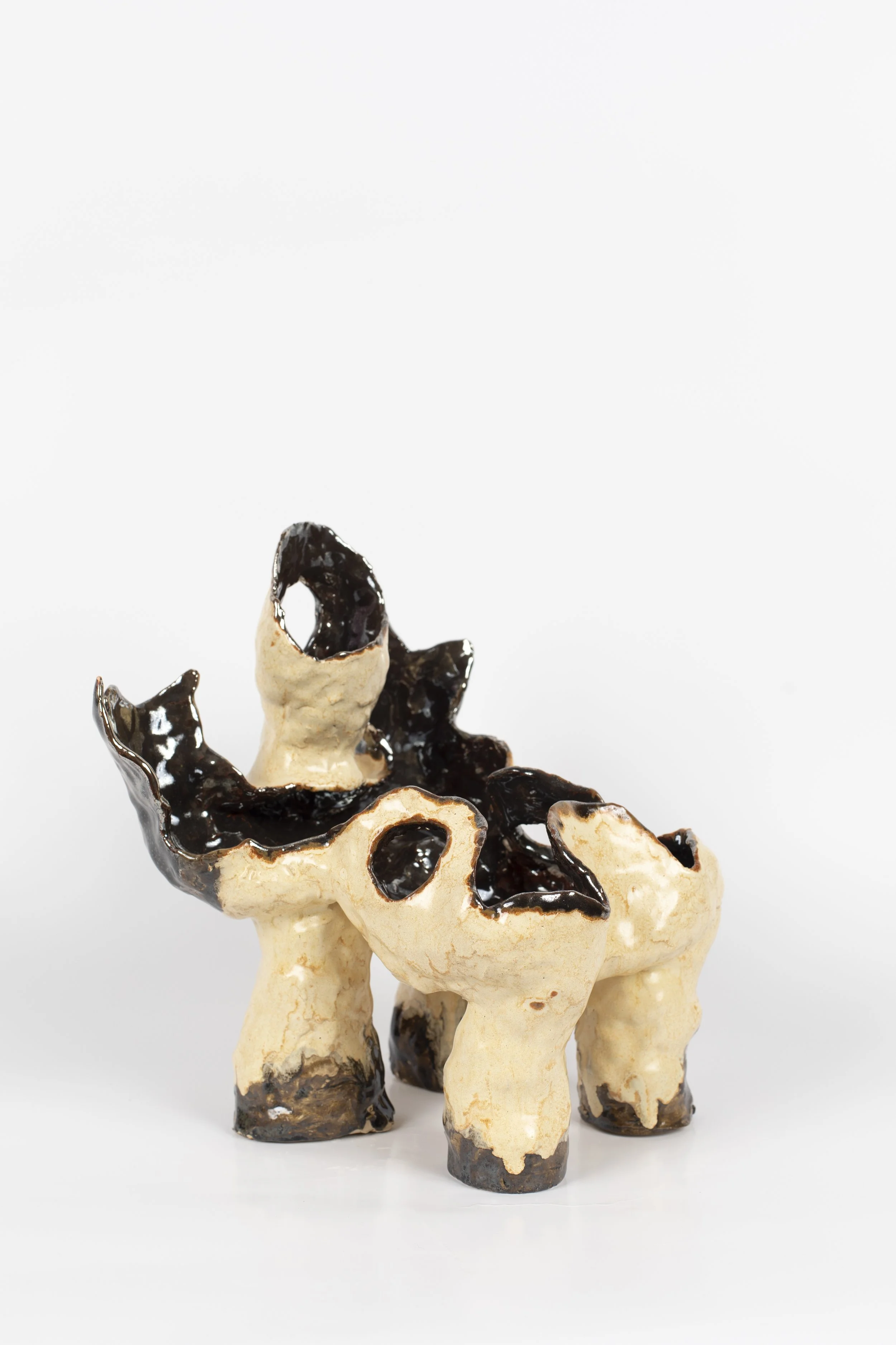 Bob Cat_2021_30 x 26 x 26 cm_4.jpg