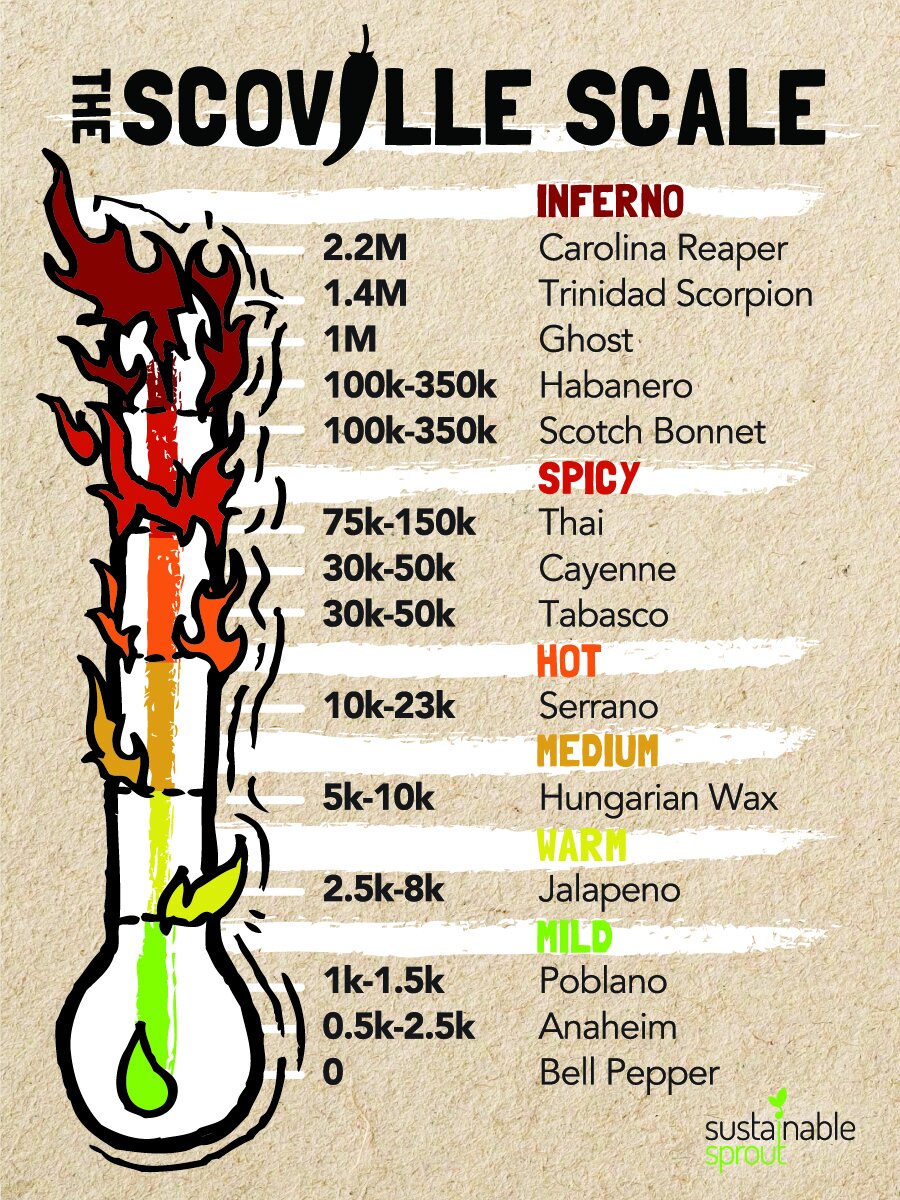 Scoville Scale Magnet