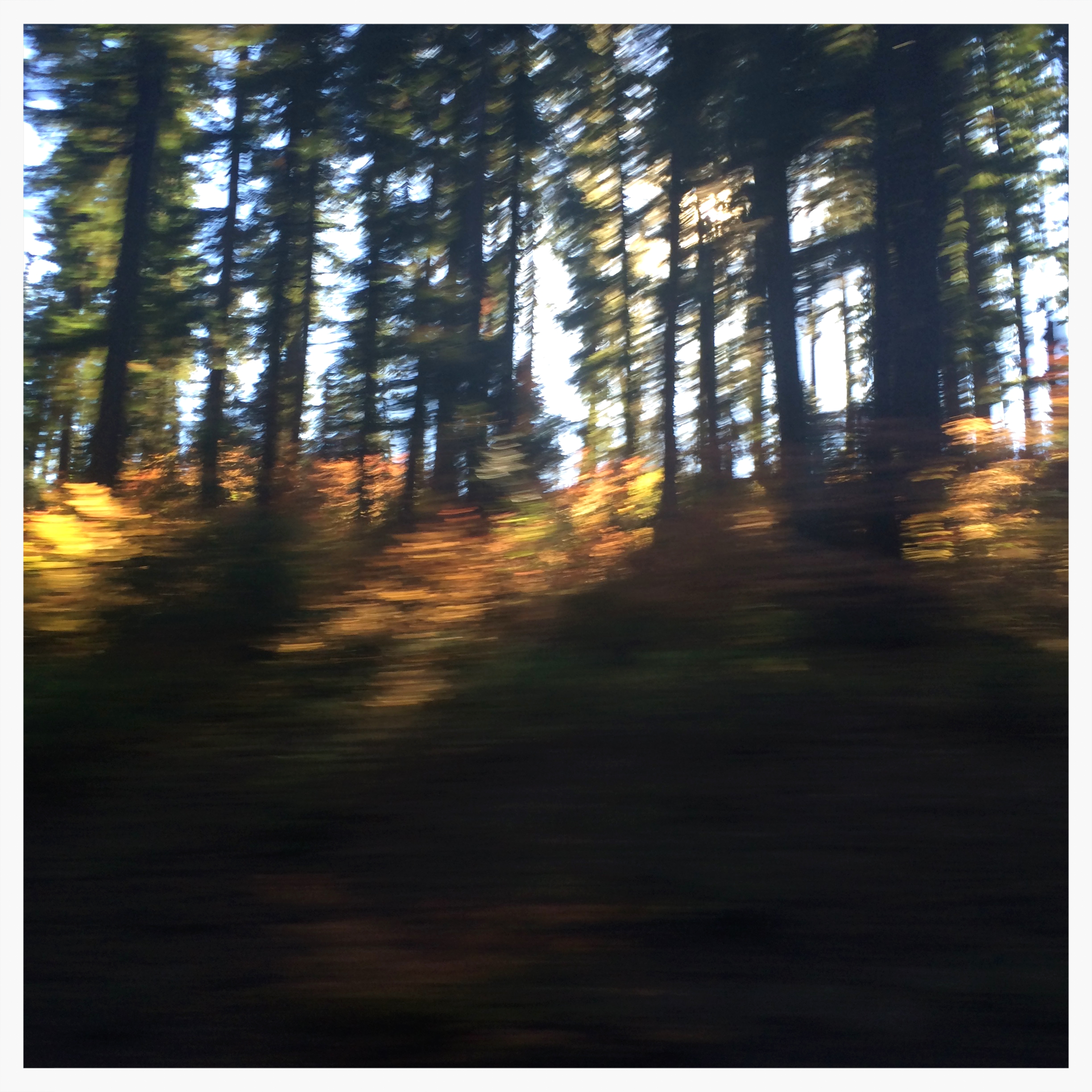 one of my few photos - it seemed fitting that it was just a blur. 