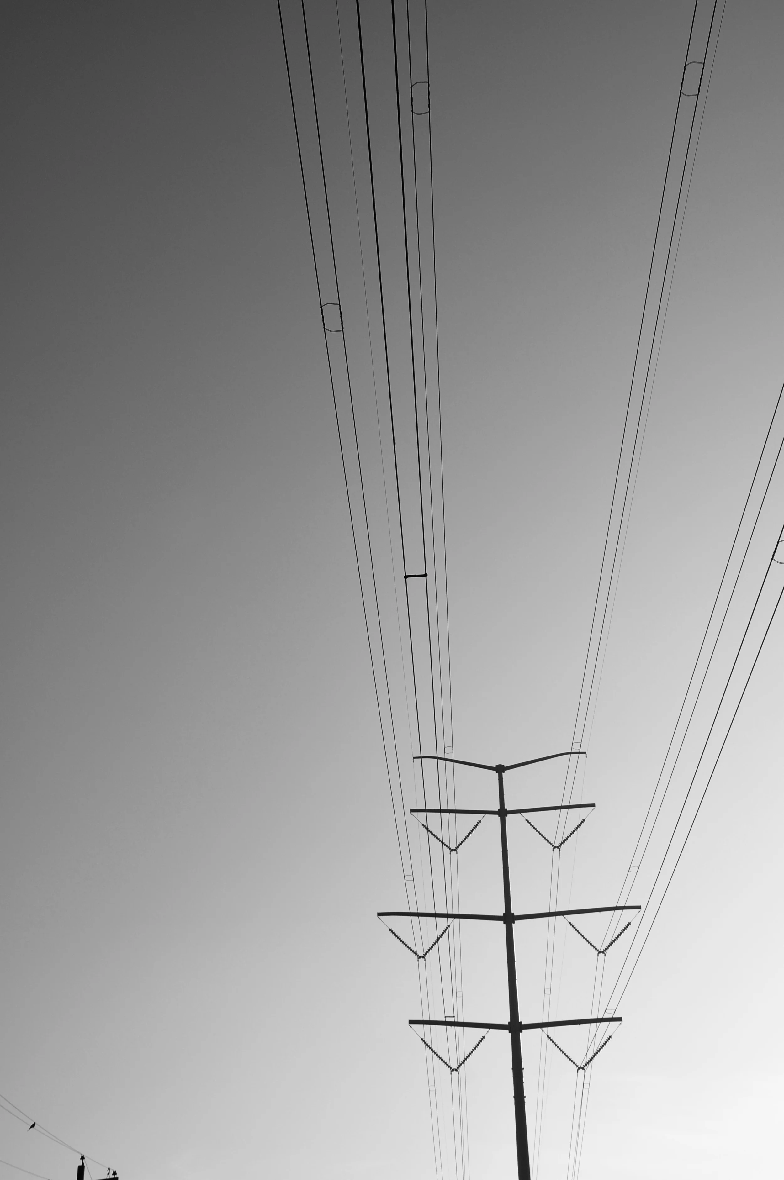 Wired