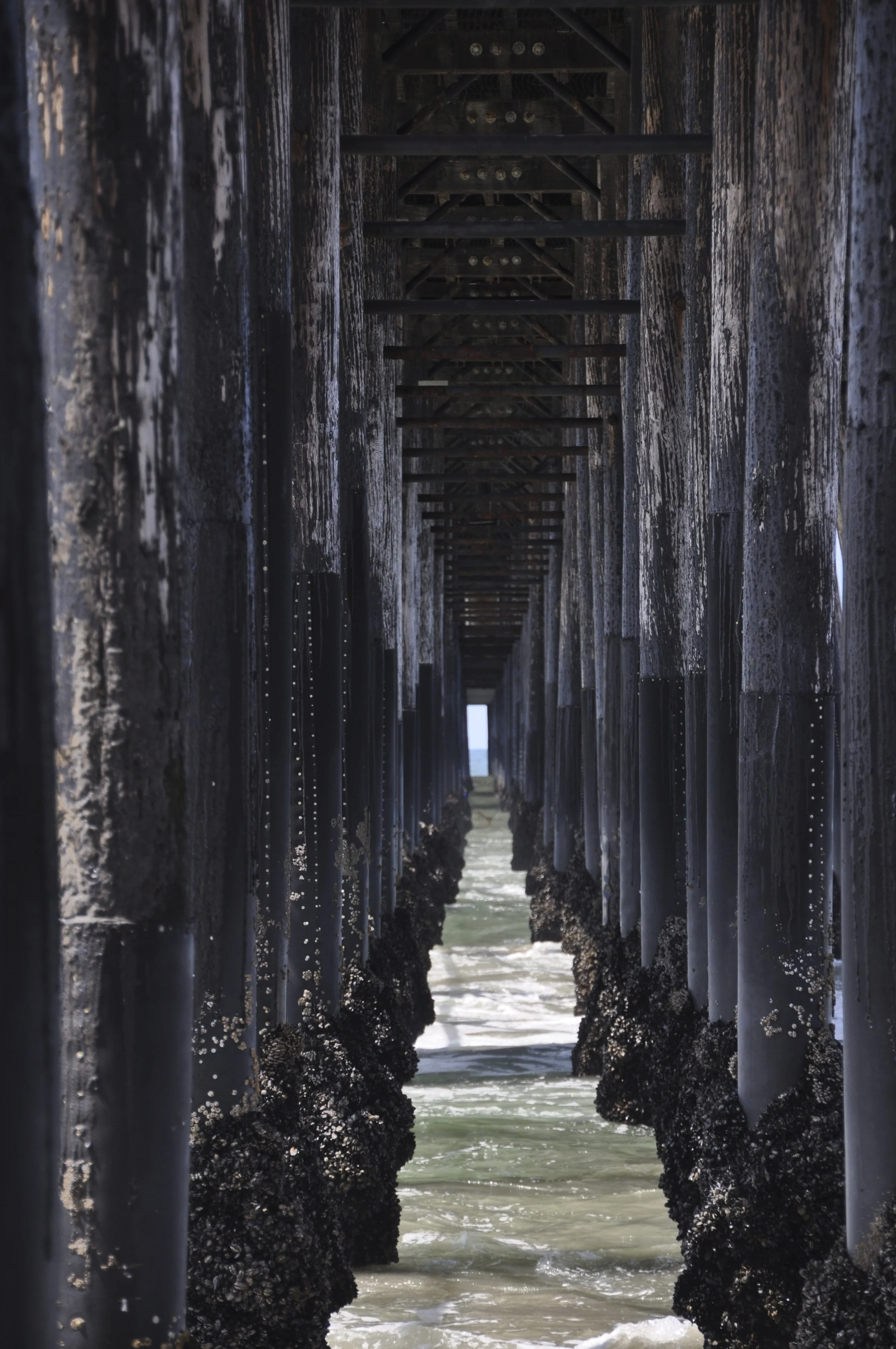 Under the Boardwalk