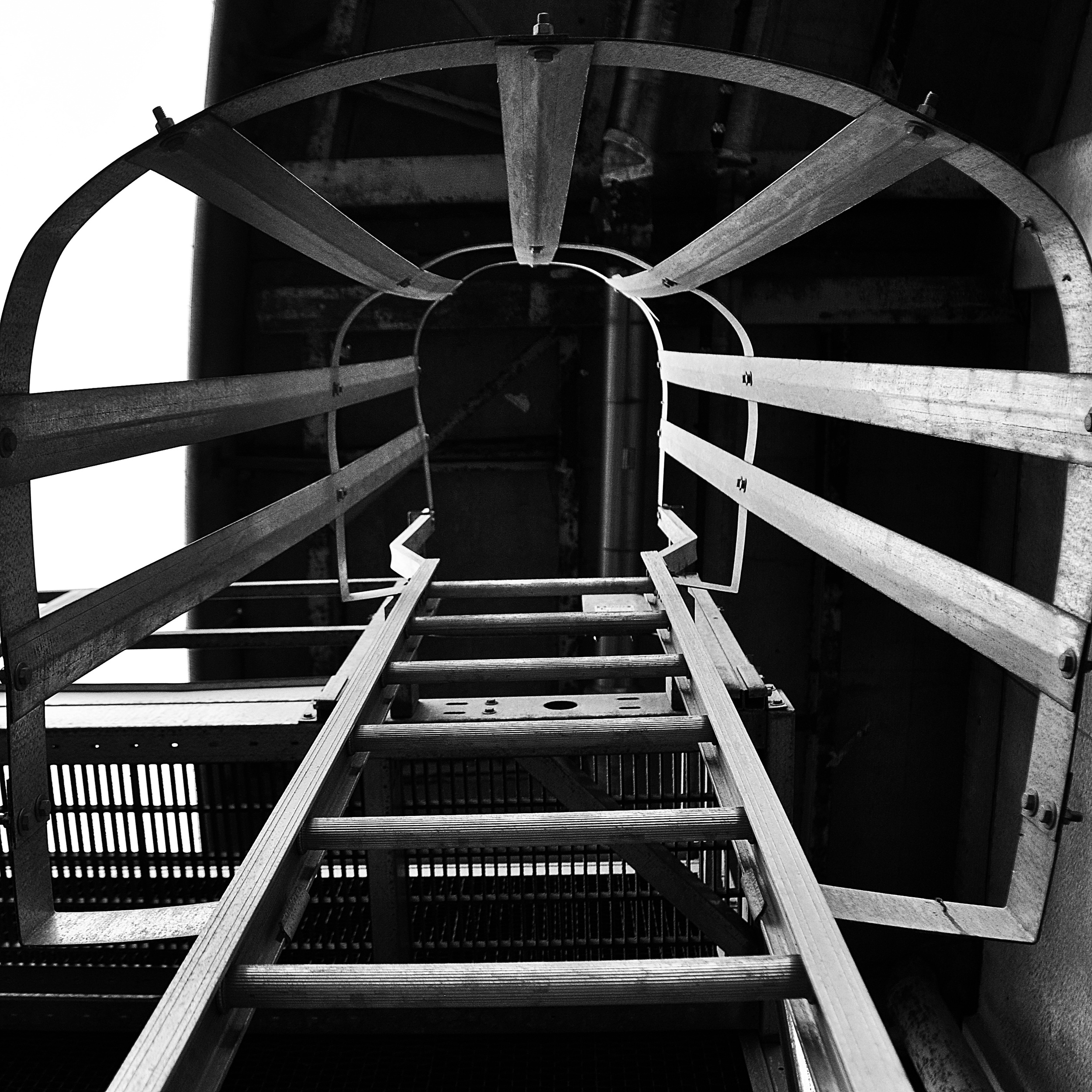 Looking Up
