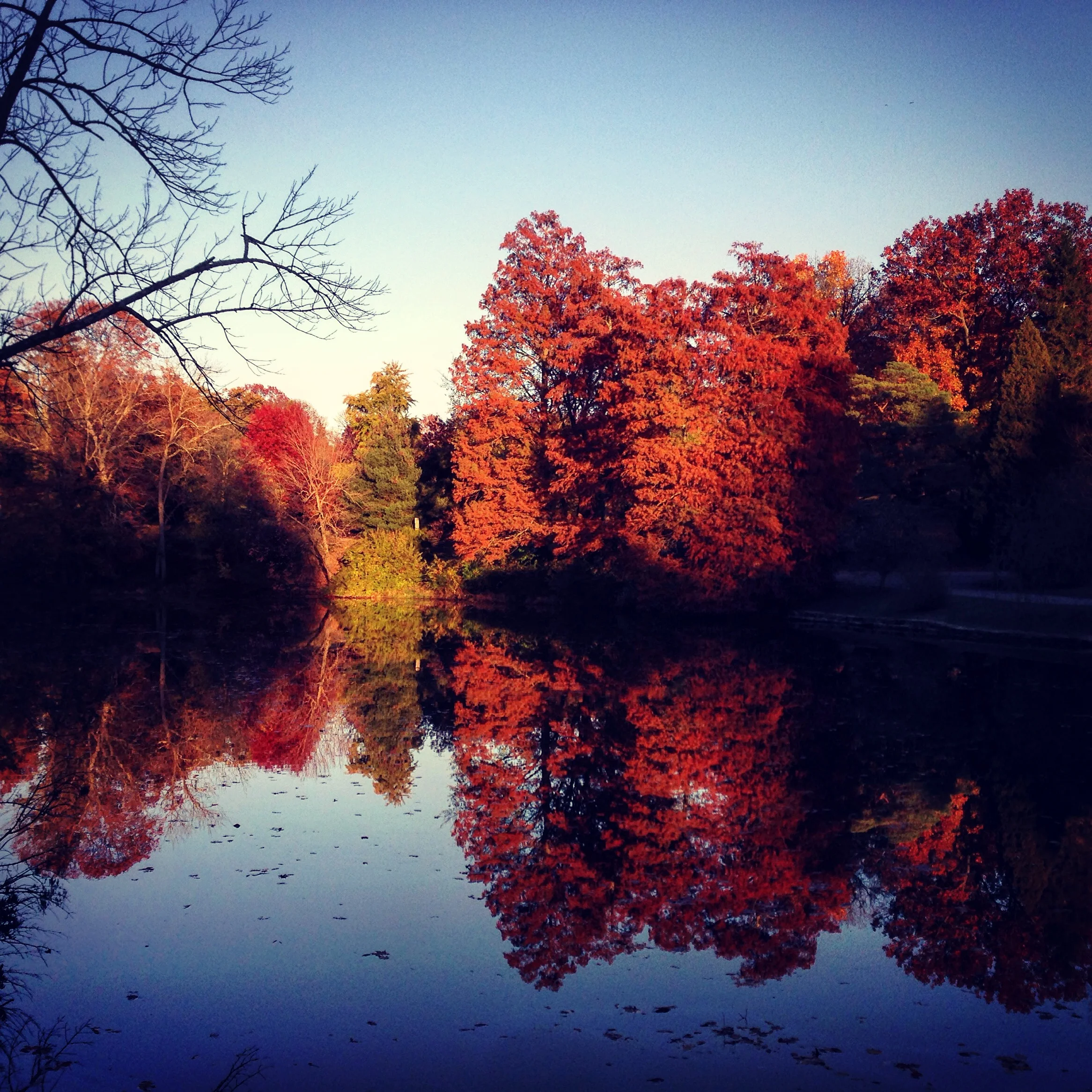 Fall Reflections