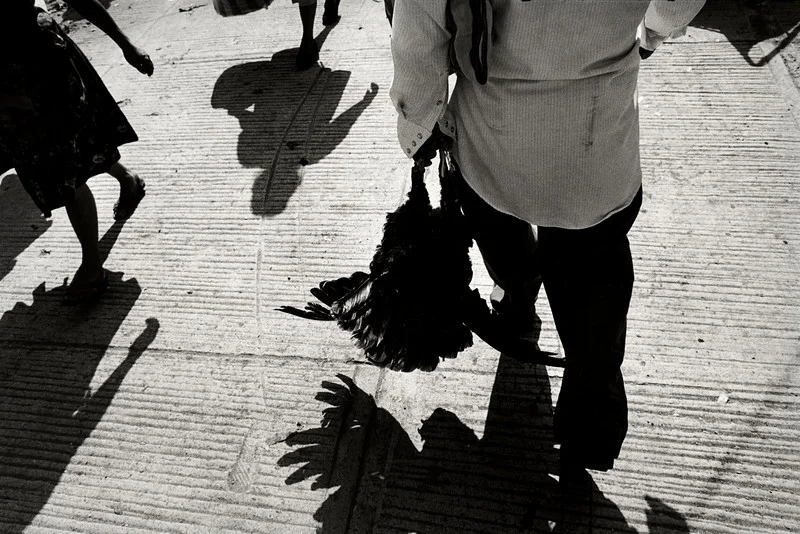 Ocotlán, Mexico. 2003. From Early Photographs.