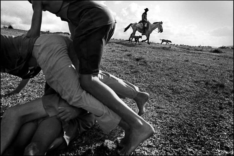 Four boys, two dogs and a cowboy on horseback. From Passing Time.