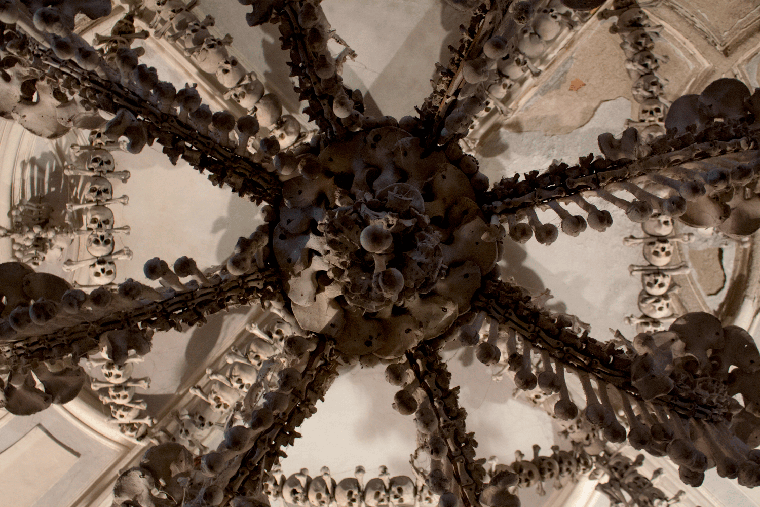 Bone Chandelier