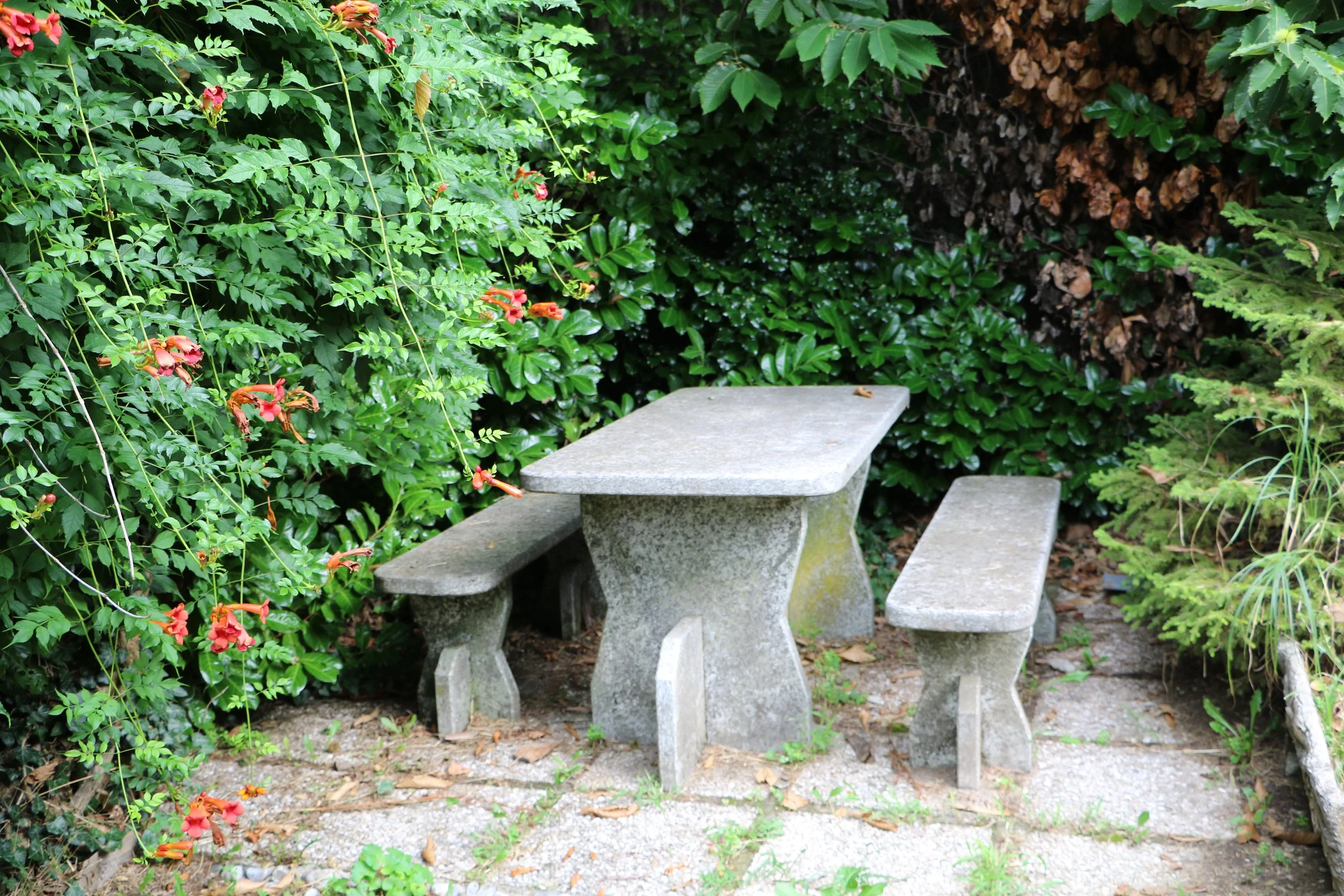 FOTO BETULLE ANNA (17).JPG