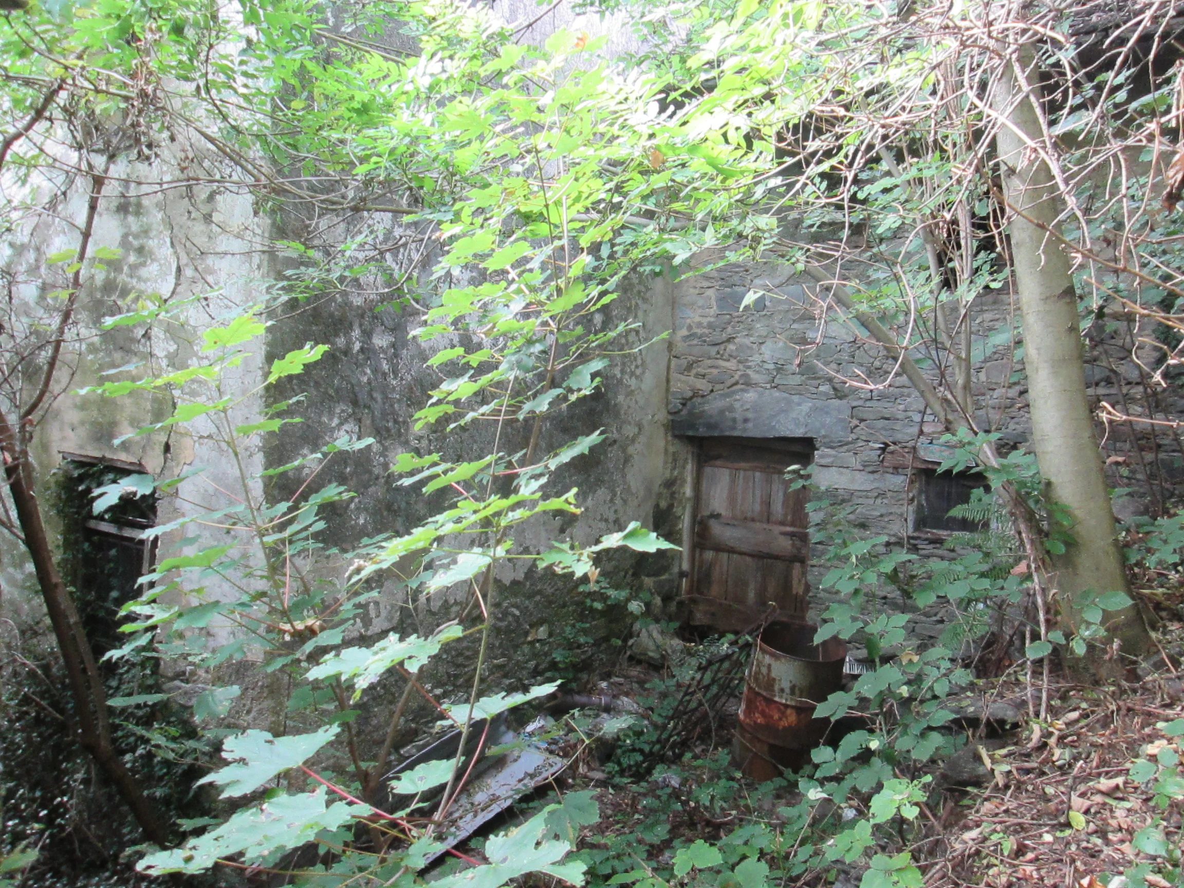 CASA CHEGLIO (14).JPG